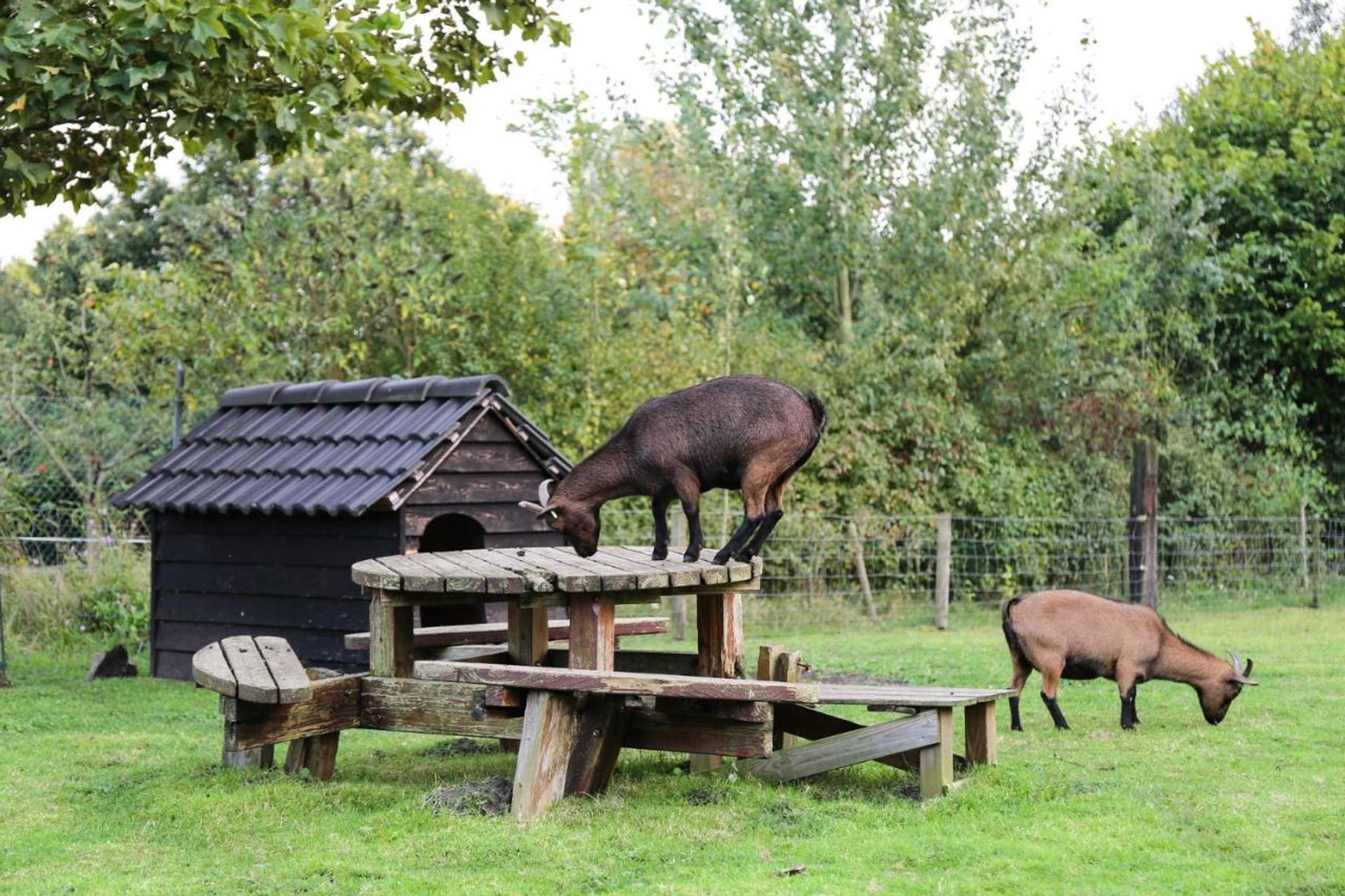 Gift card for De Rolders