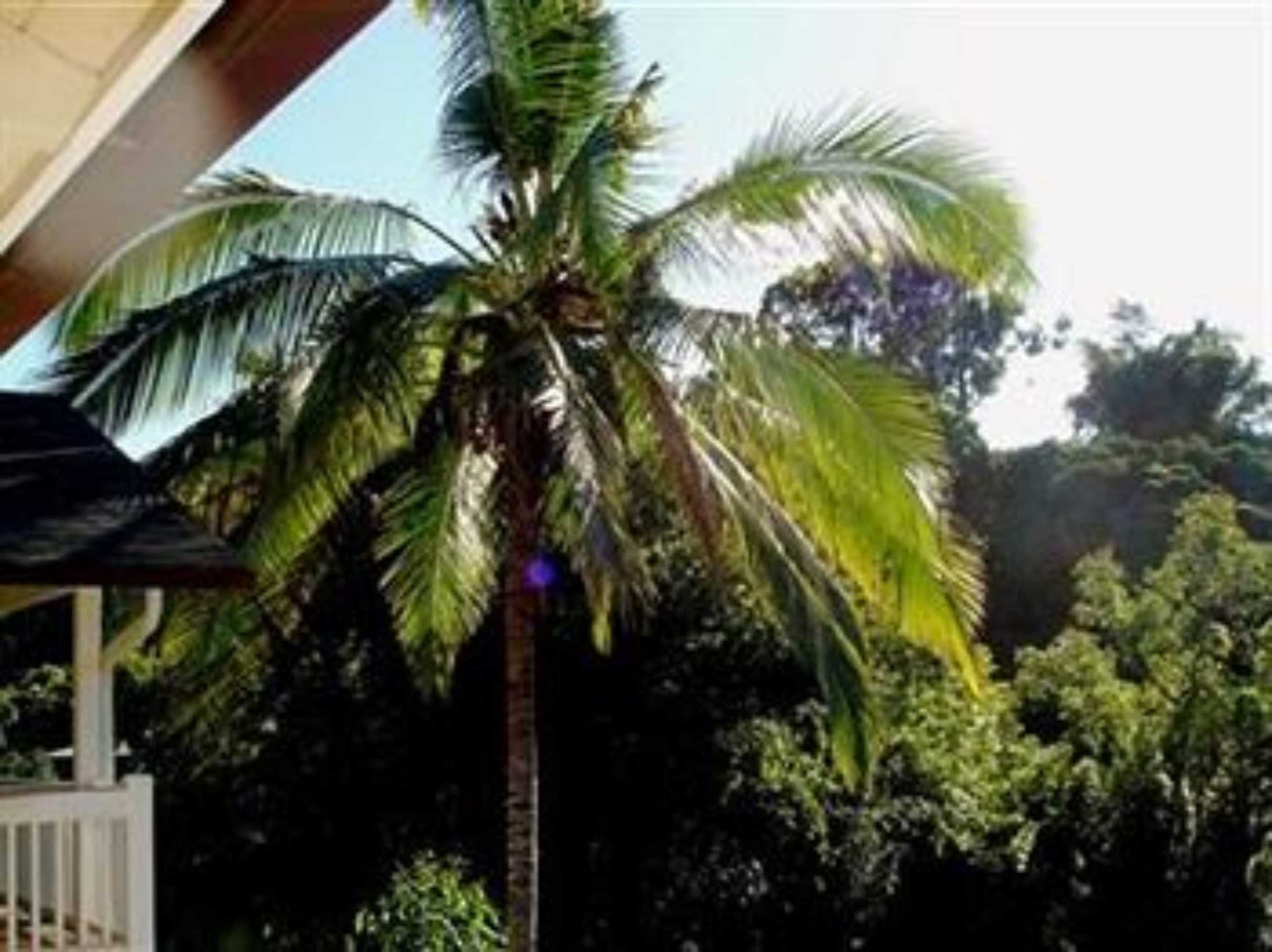 Gift card for Bamboo Valley Inn