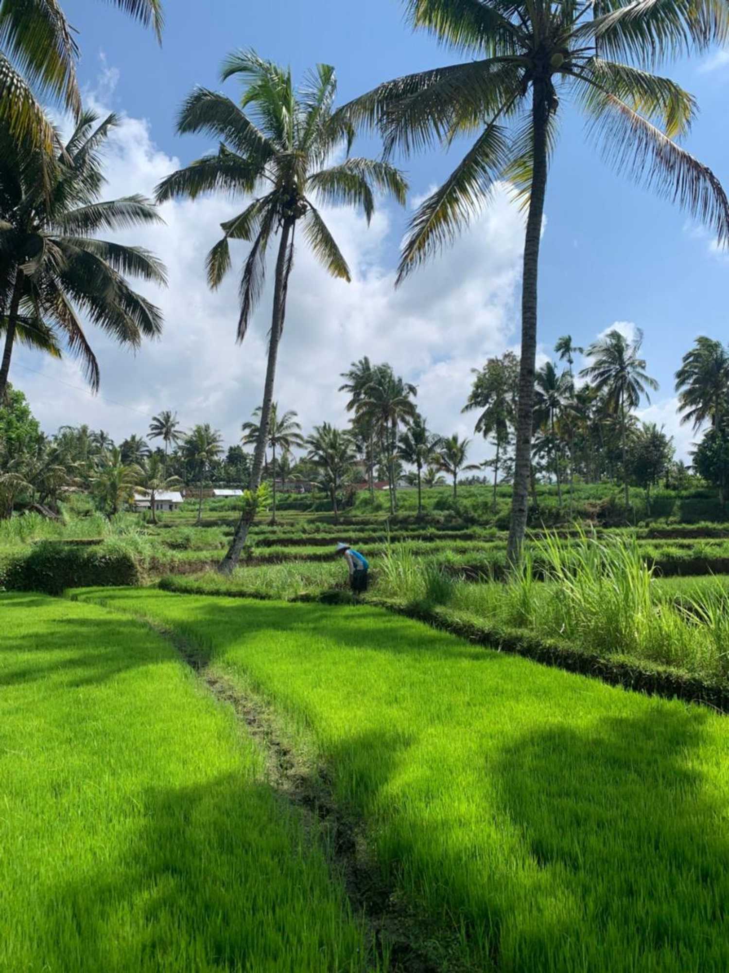 Gift card for Farmer Homestay