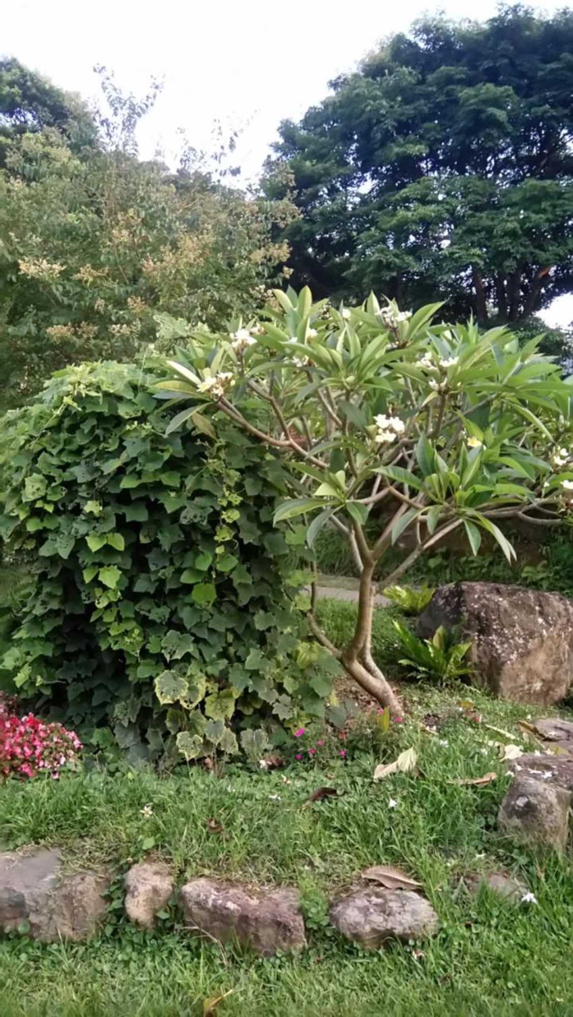 Gift card for Yellow Stone M.v.