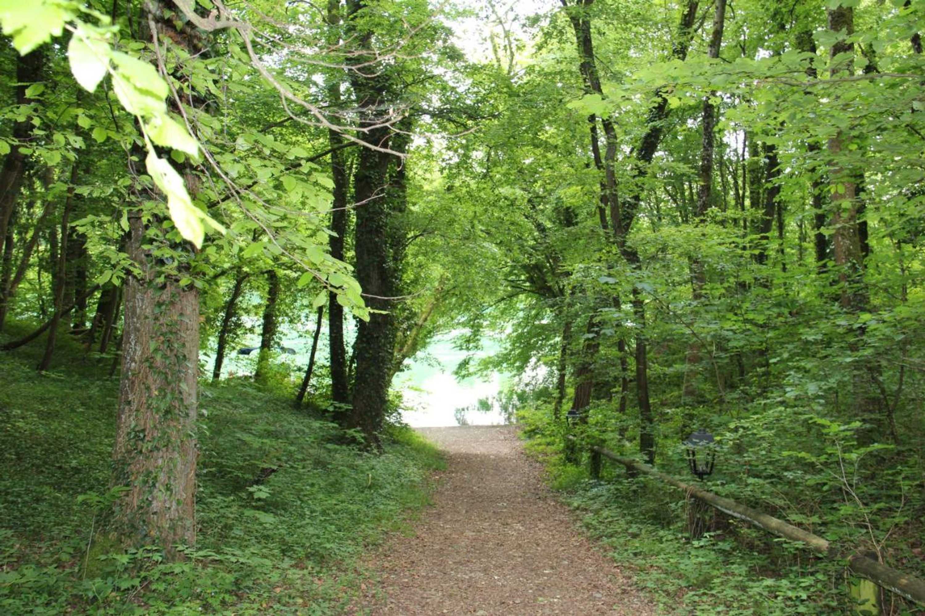 Gift card for Wasserstelz Historisches Genusshotel & Restaurant am Rhein