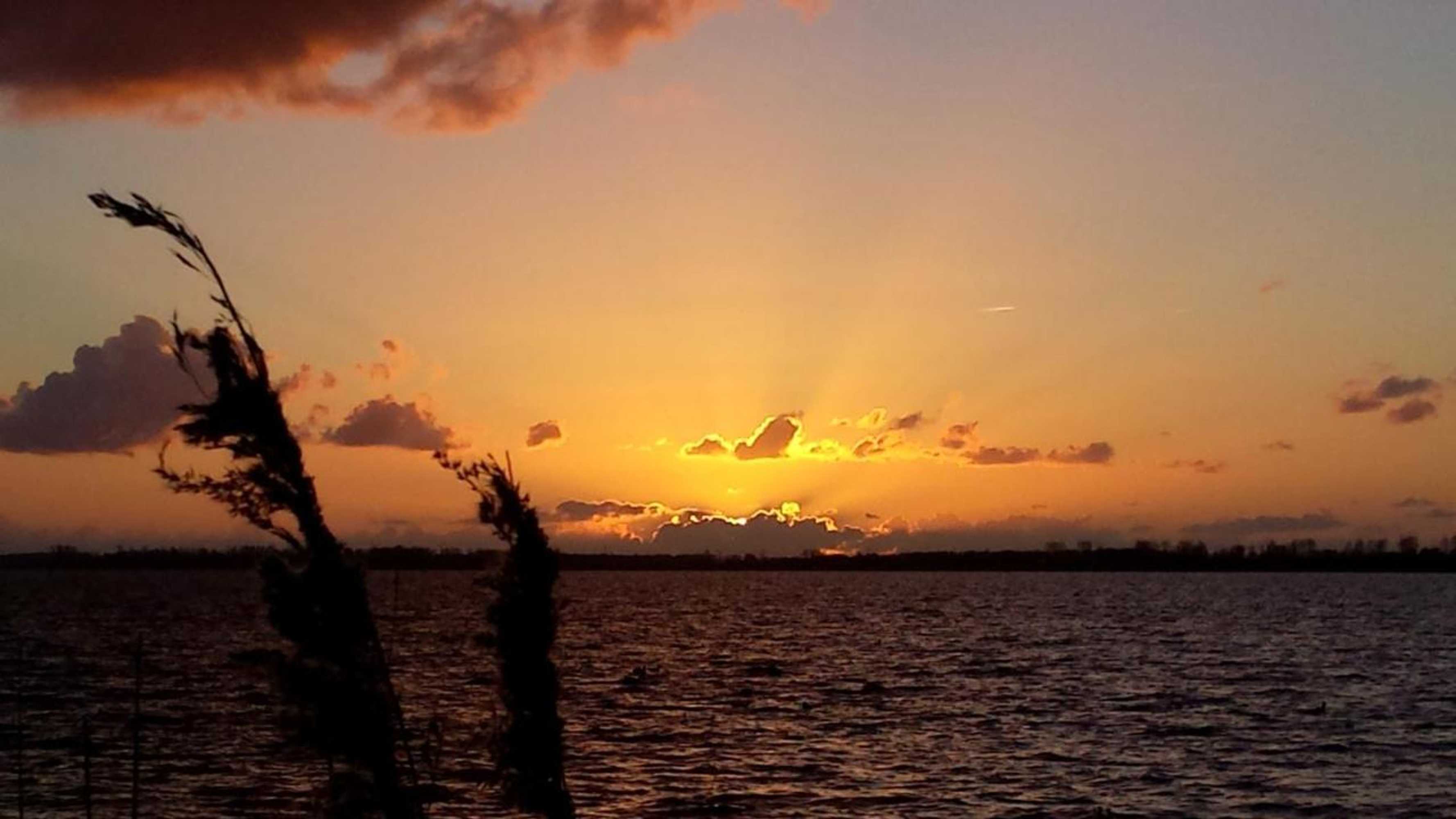 Gift card for B&b Veluwemeerpension