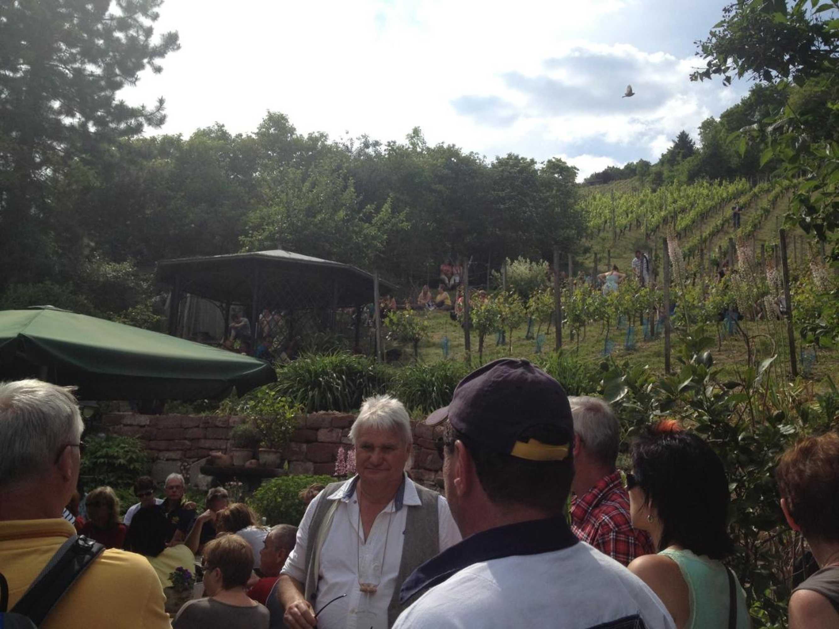 Gift card for Hotel Zum Rebstock