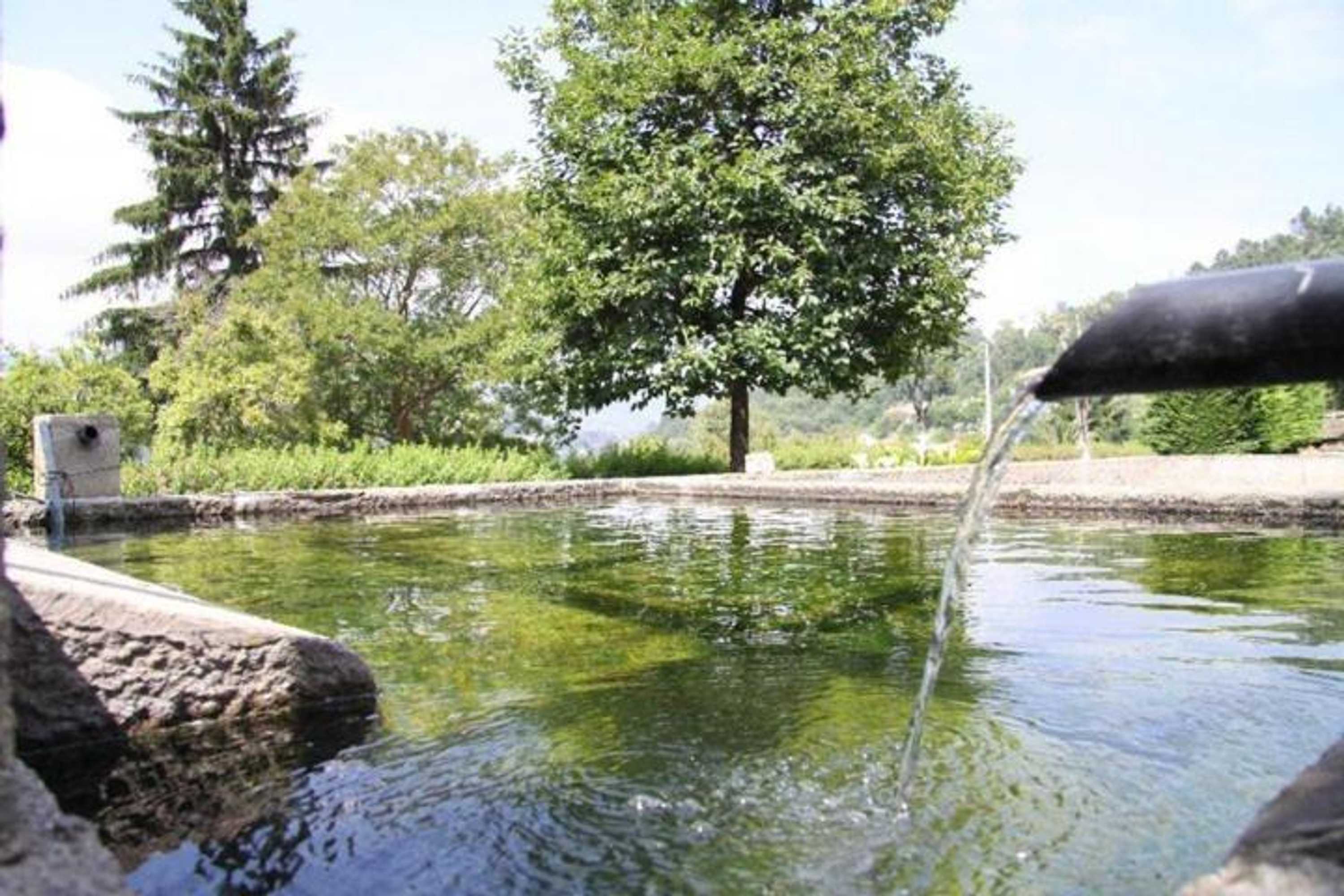 Gift card for Casa da Quinta da Calçada