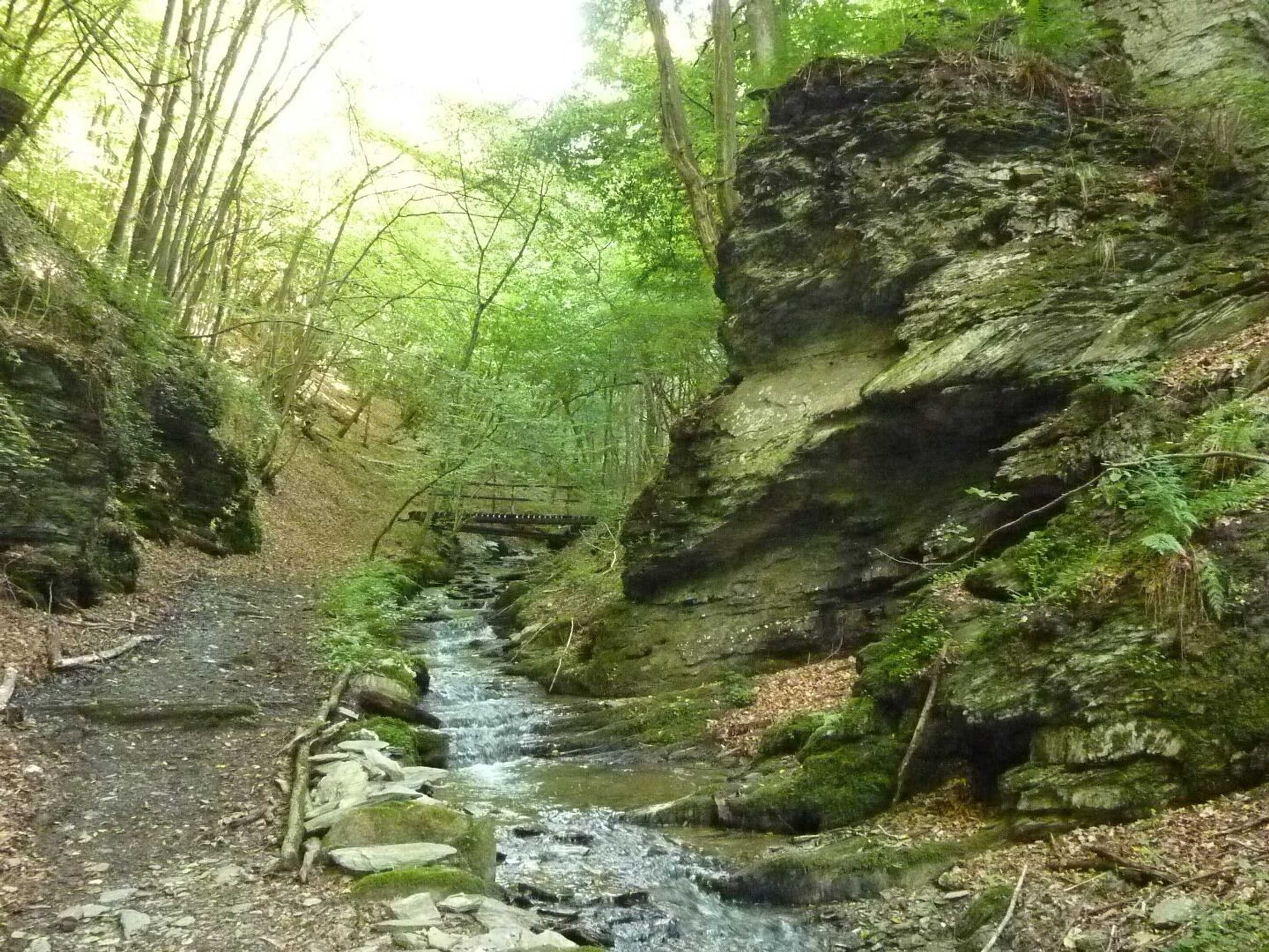 Gift card for Ferien im Hunsrück