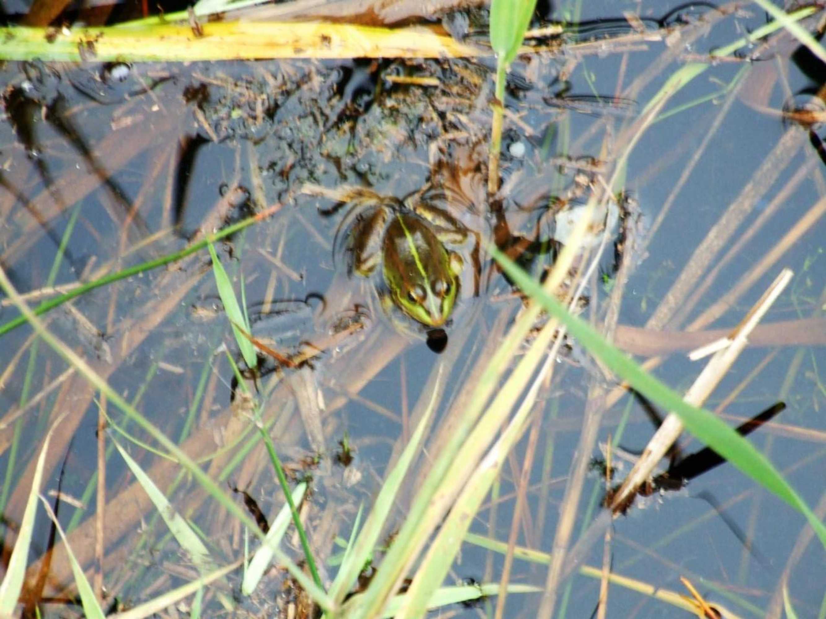 Gift card for Casa Lagoa Verde