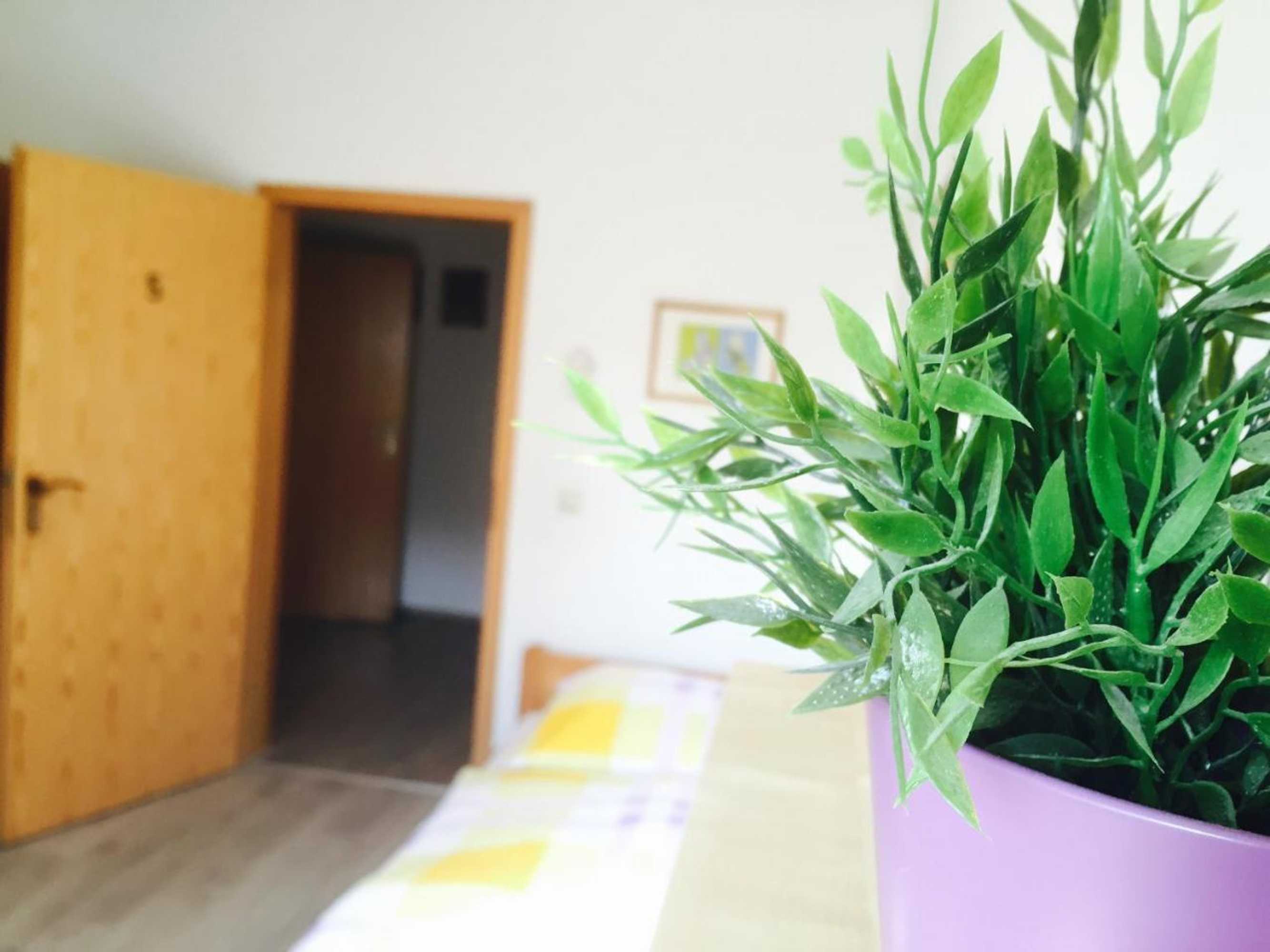 Gift card for Rael-Boardinghouse