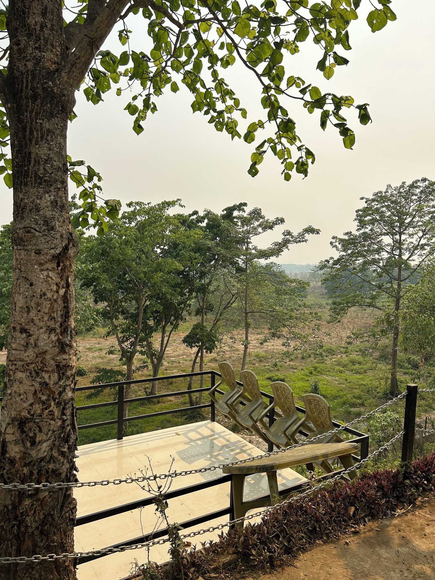 Gift card for Tiger Wildlife Resort Gift card for Tiger Wildlife Resort