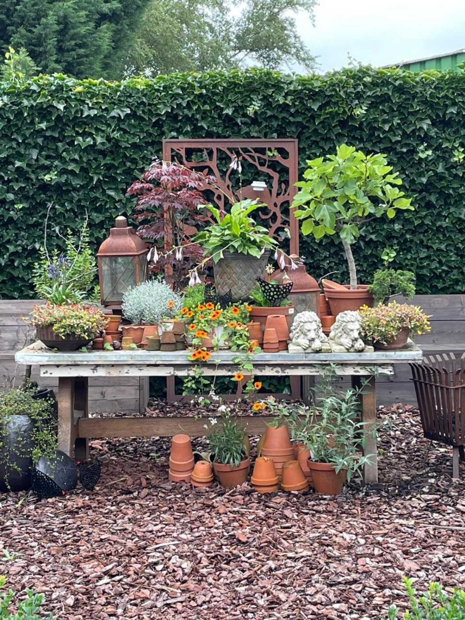 Gift card for Casa di Fiore