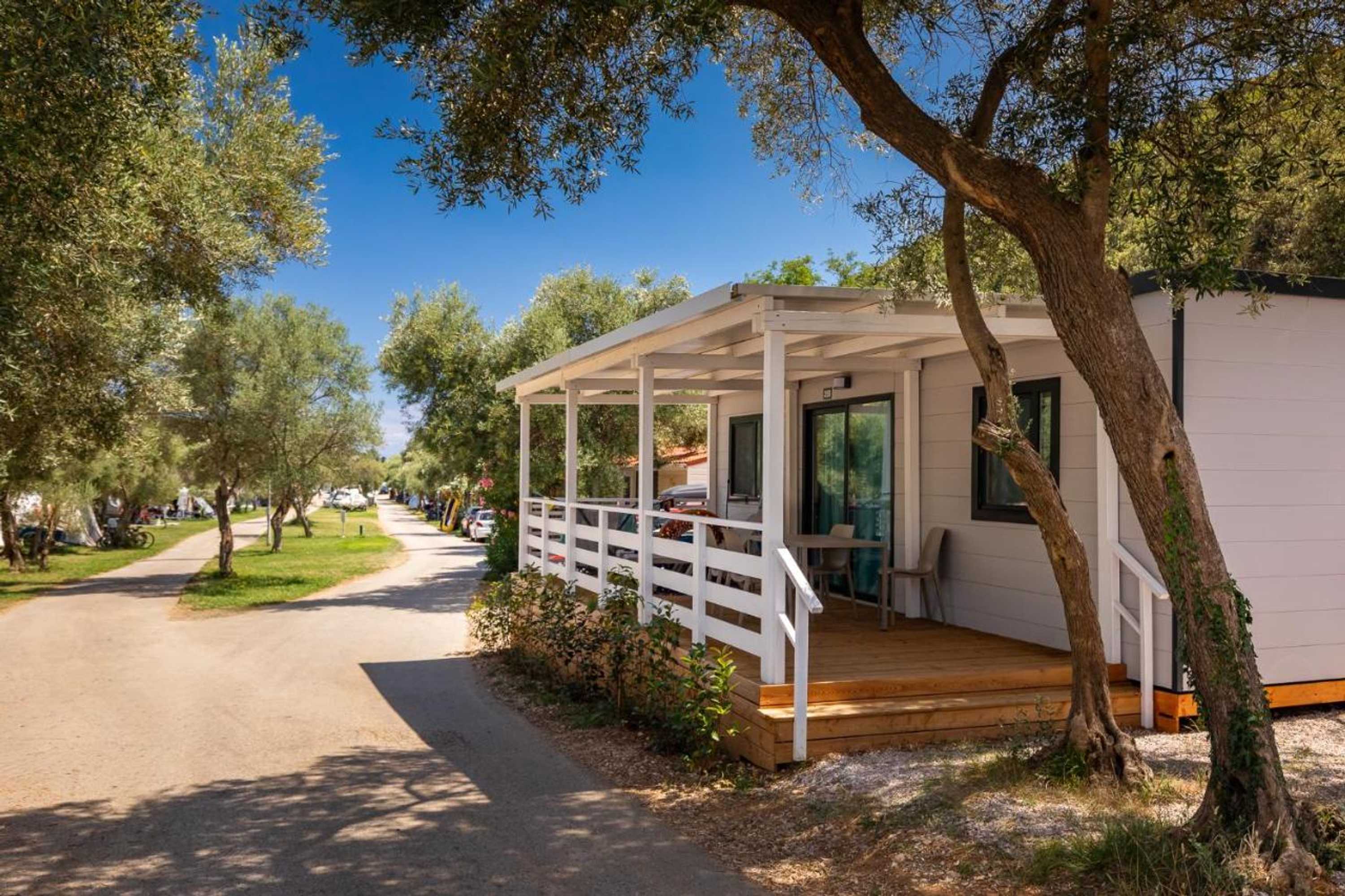 Gift card for Oliva Camping Gift card for Oliva Camping