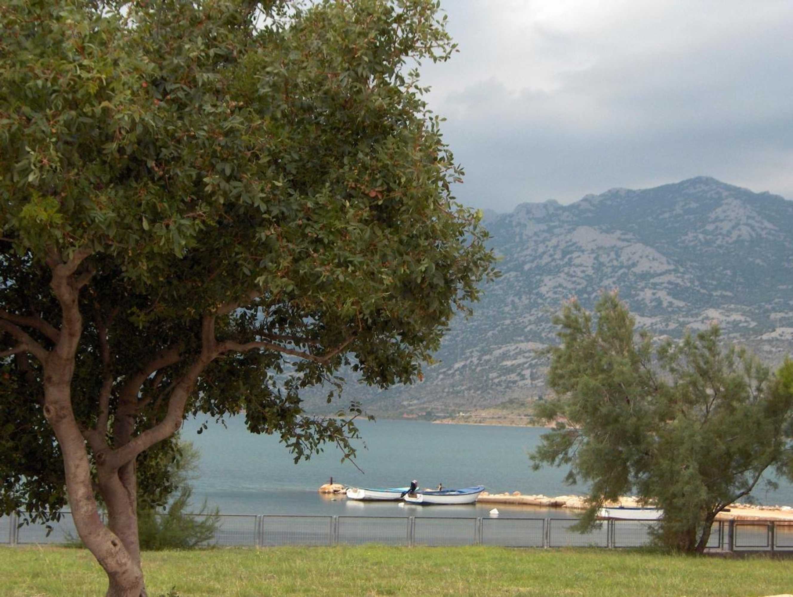 Gift card for Bed & Breakfast Dora