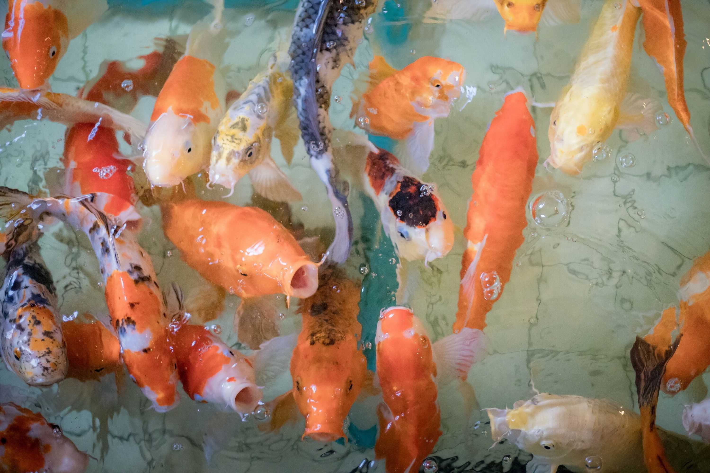 Gift card for Wangtai Hotel