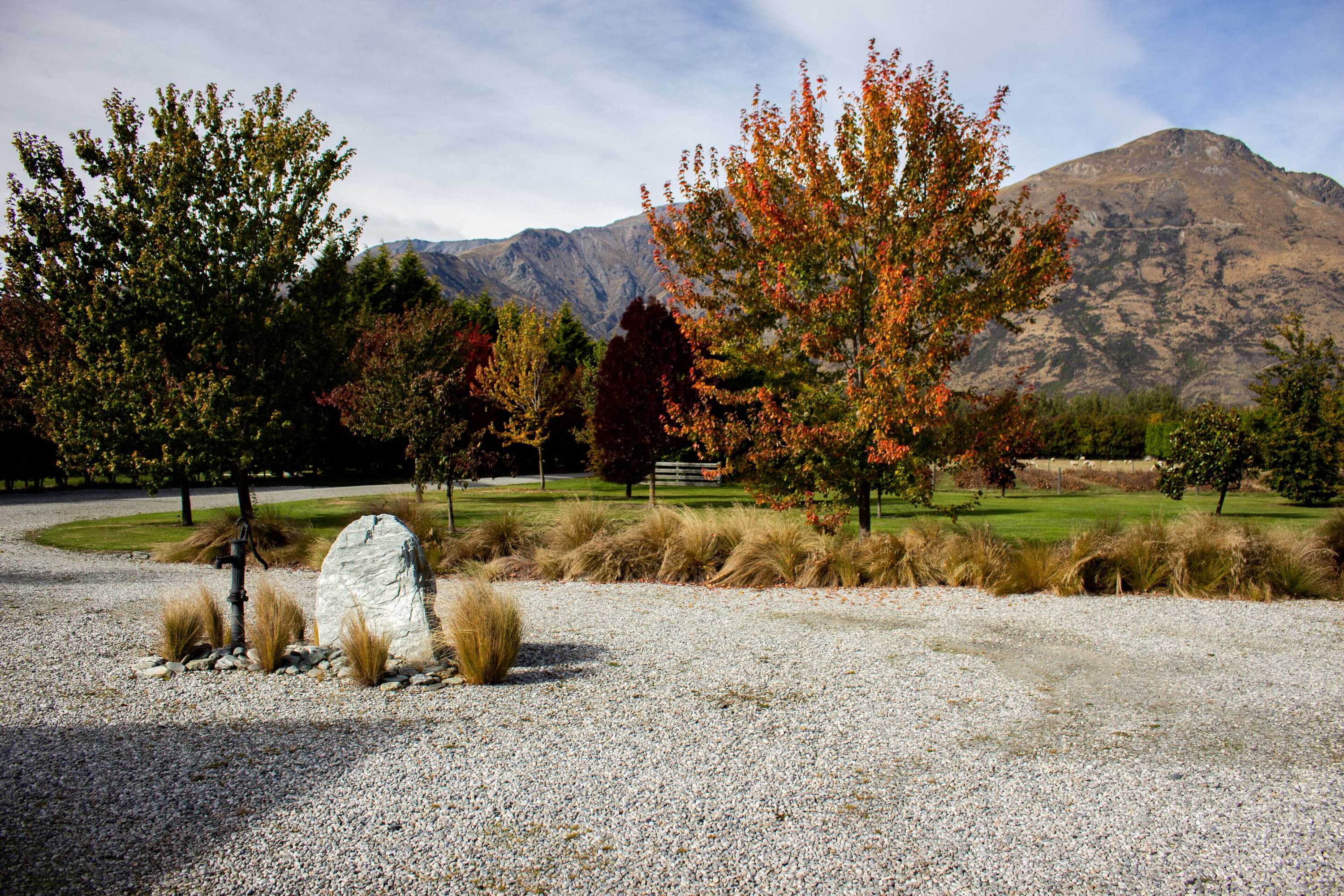 Gift card for Queenstown Country Lodge Gift card for Queenstown Country Lodge