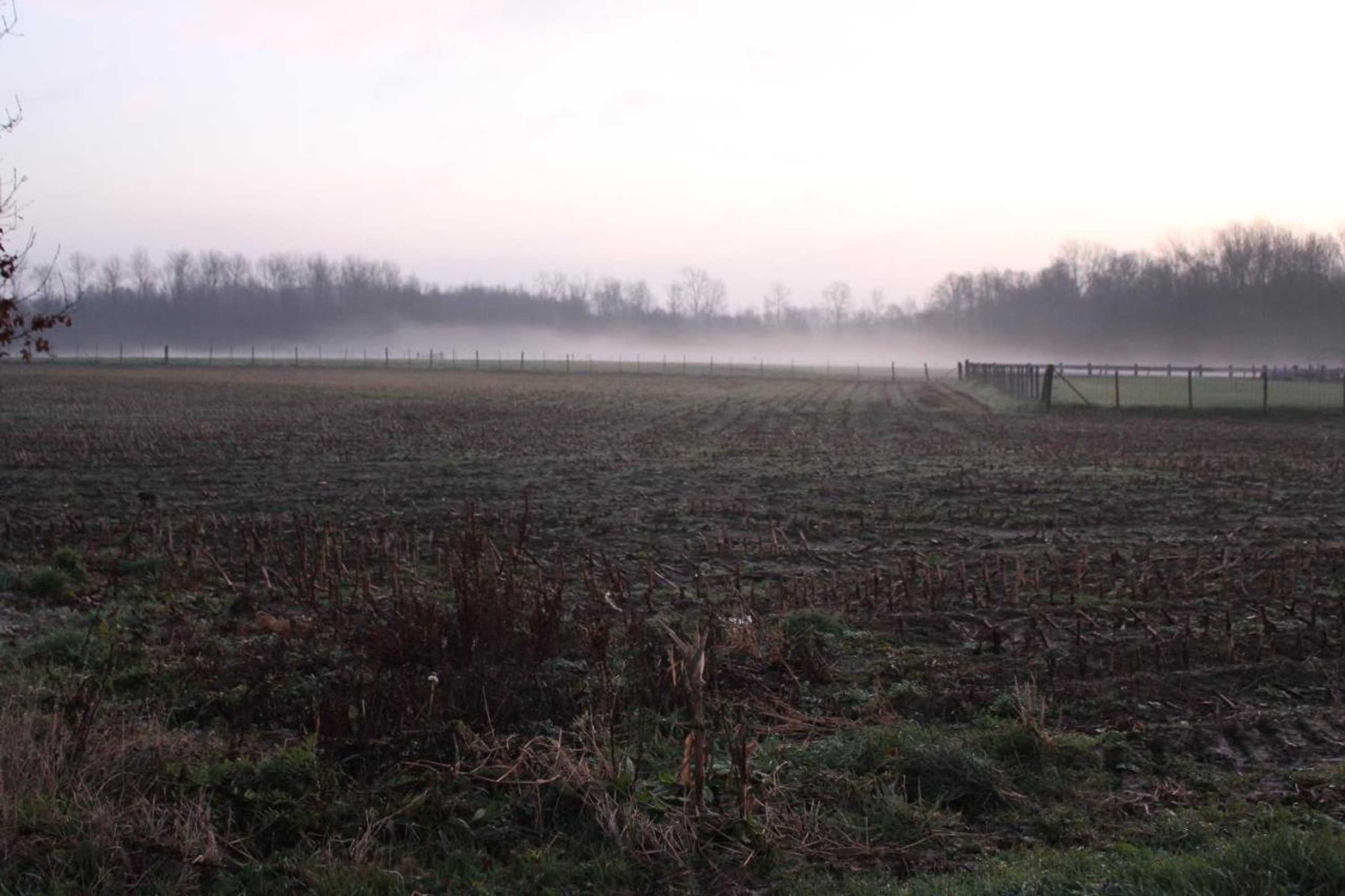 Gift card for Leybeeckhof Bed And Breakfast