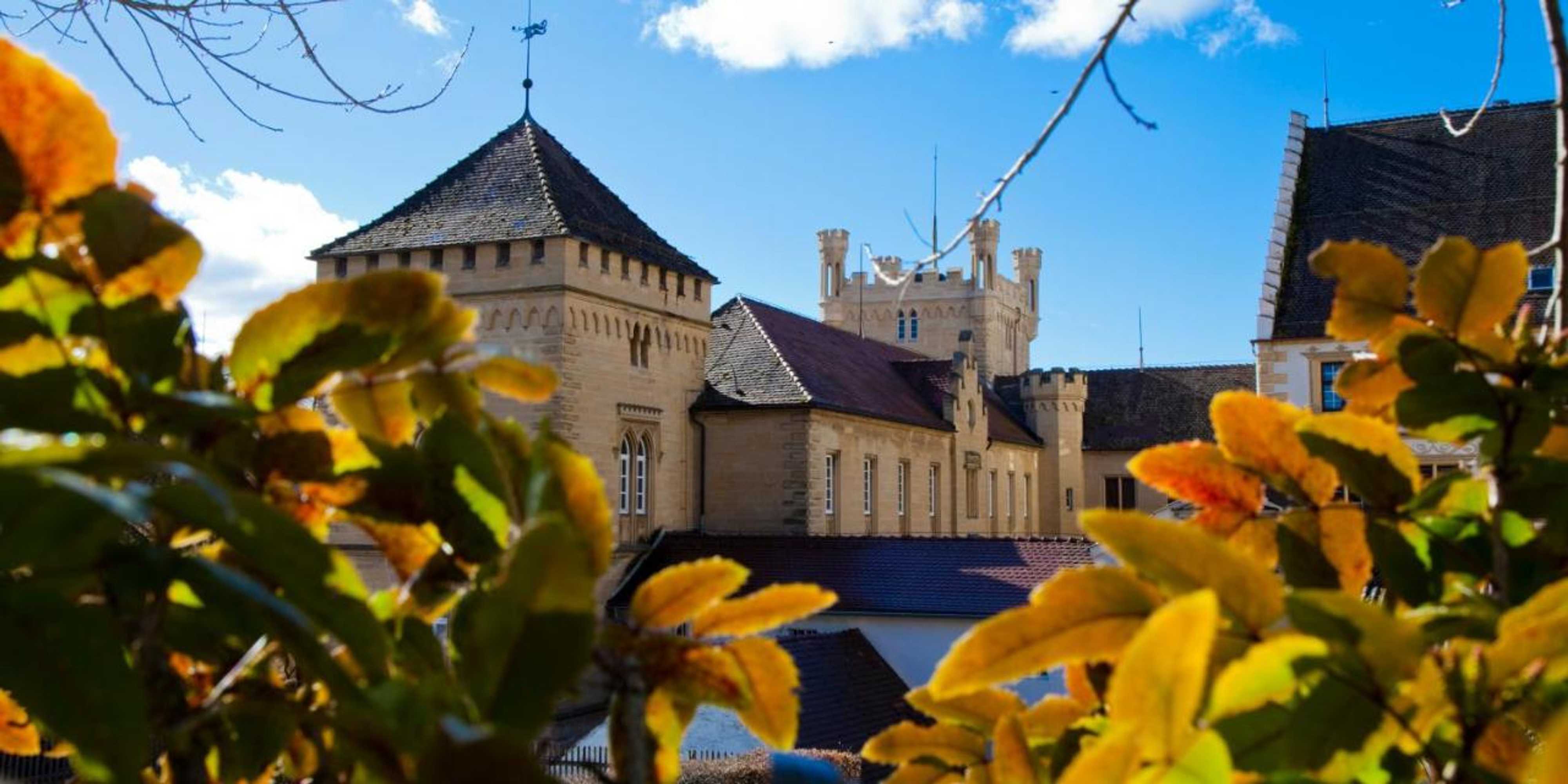 Gift card for Schloss Weitenburg