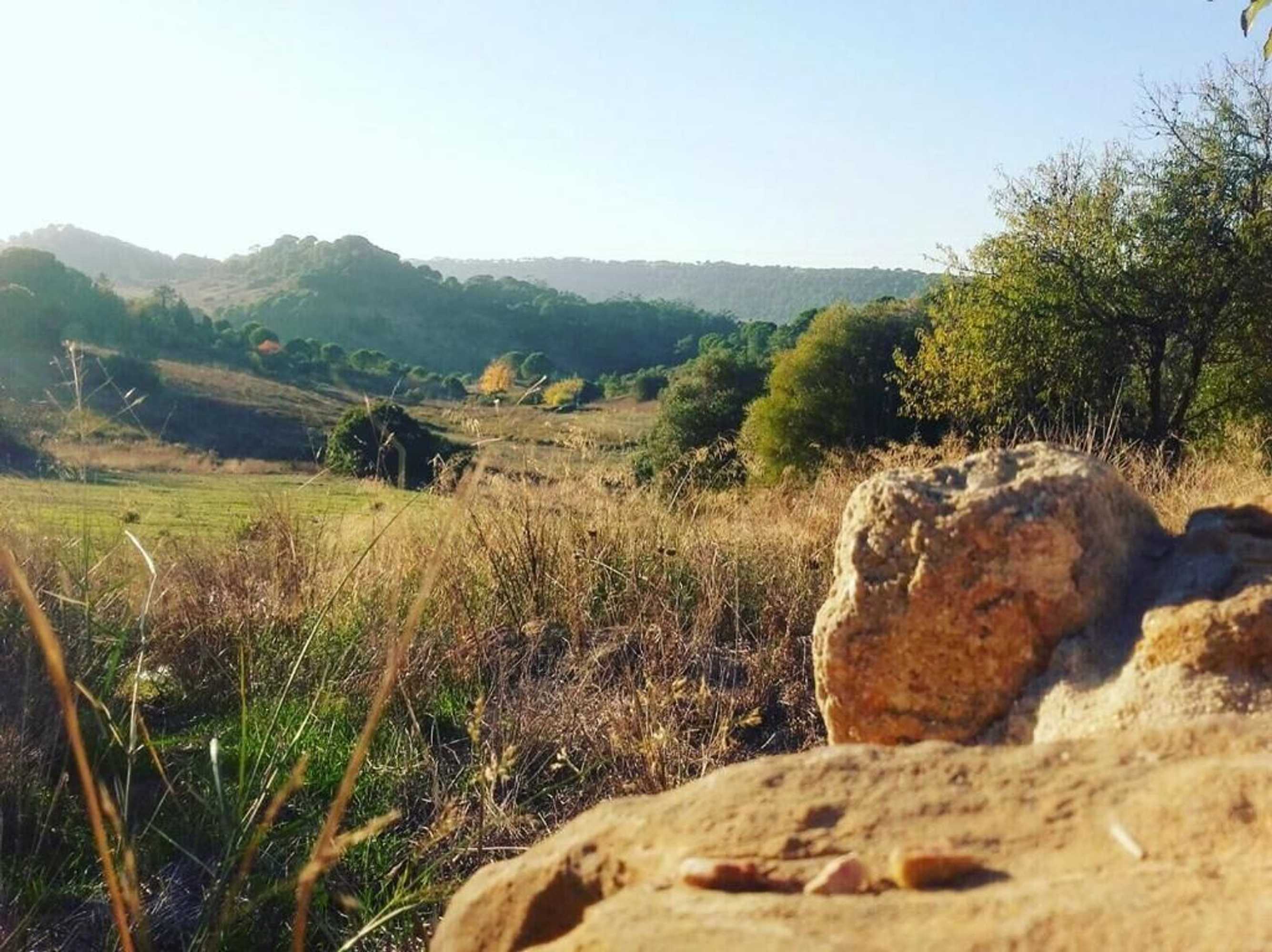 Gift card for Biovilla Sustentabilidade