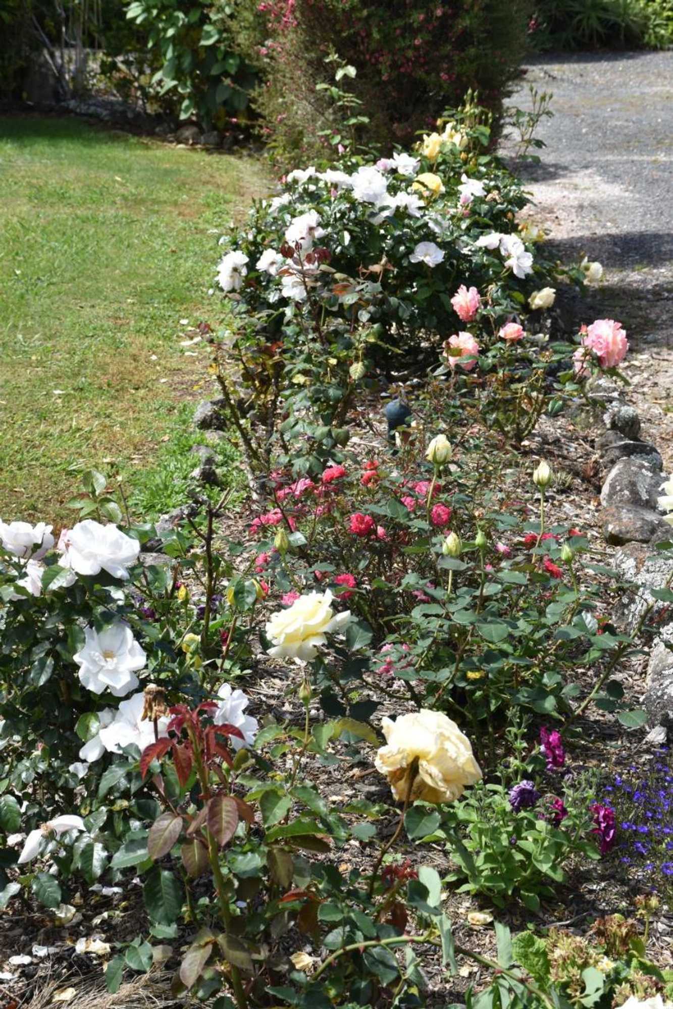 Gift card for Kerikeri Garden Homestead Gift card for Kerikeri Garden Homestead