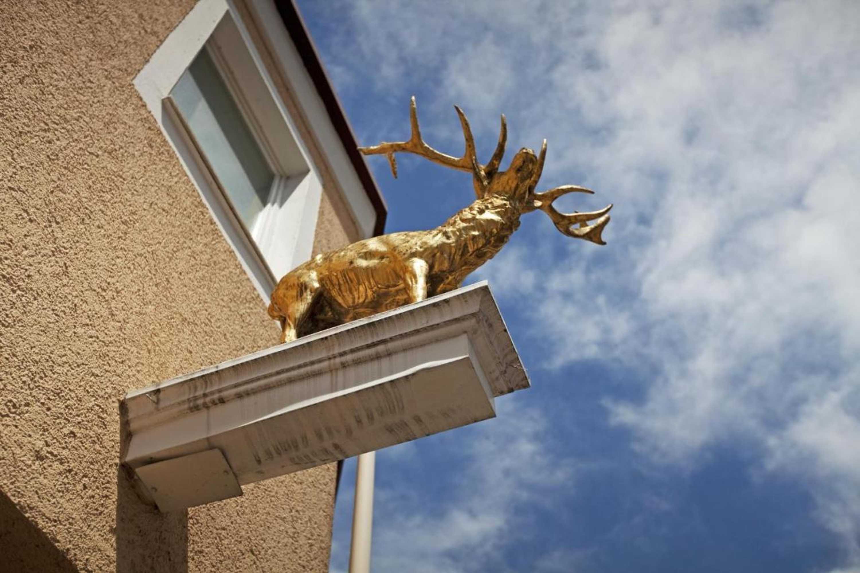 Gift card for Hotel Hirsch