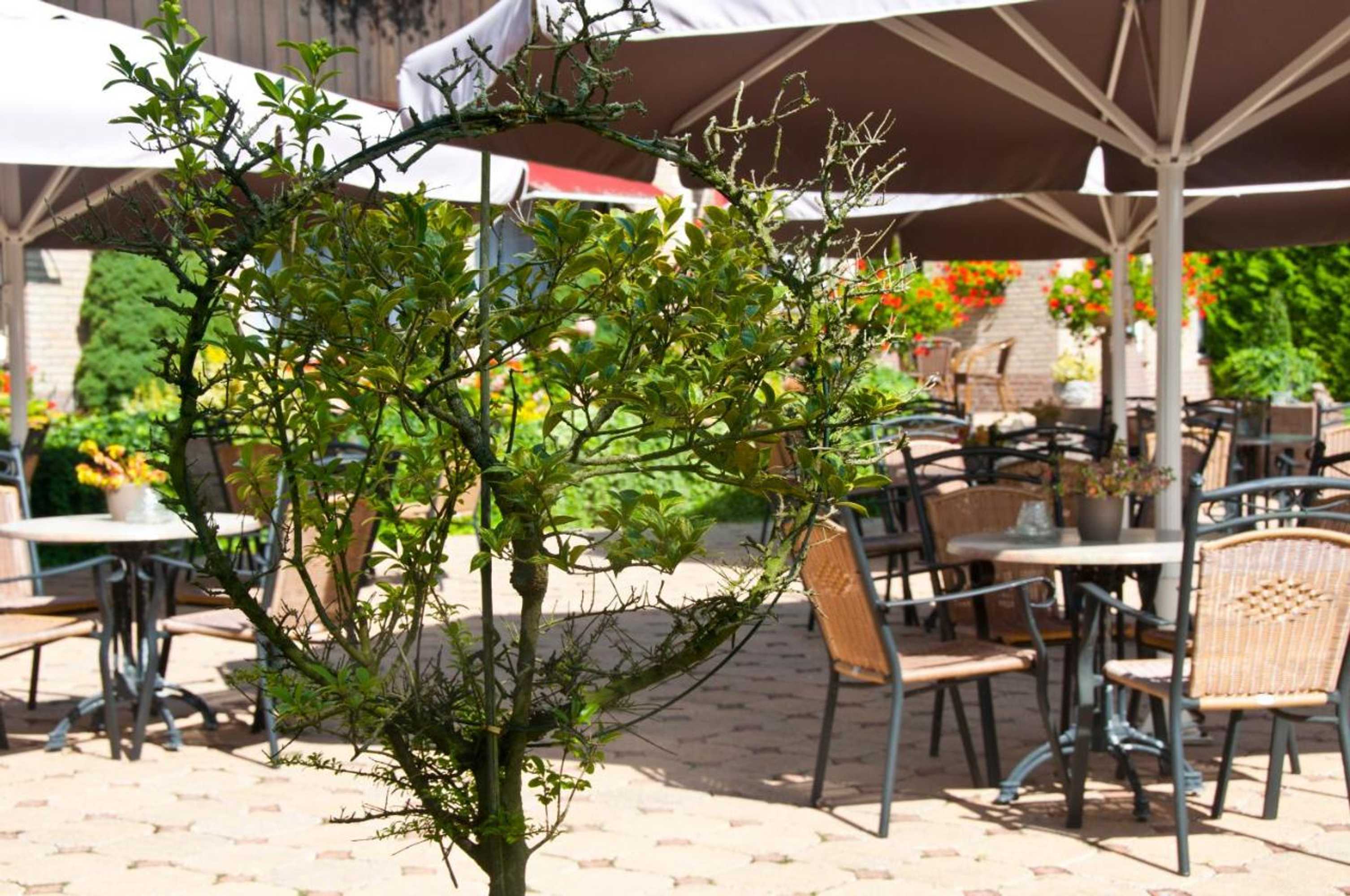 Gift card for Hotel Steensel
