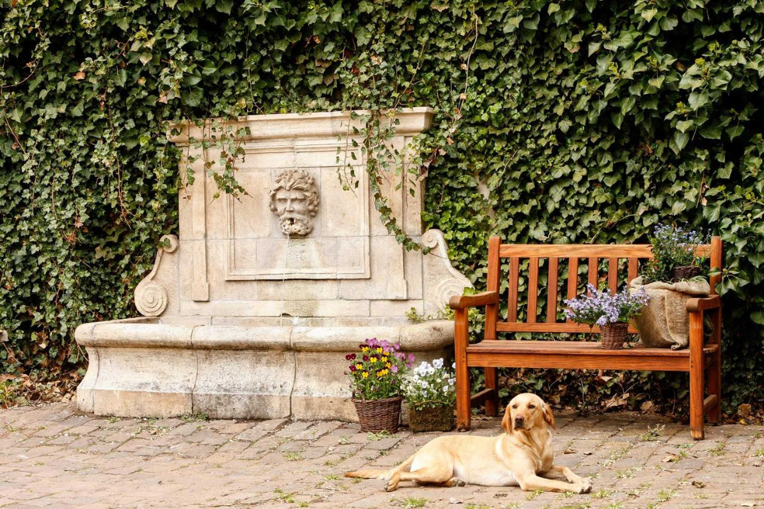 Gift card for Der Linslerhof - Hotel, Restaurant, Events & Natur