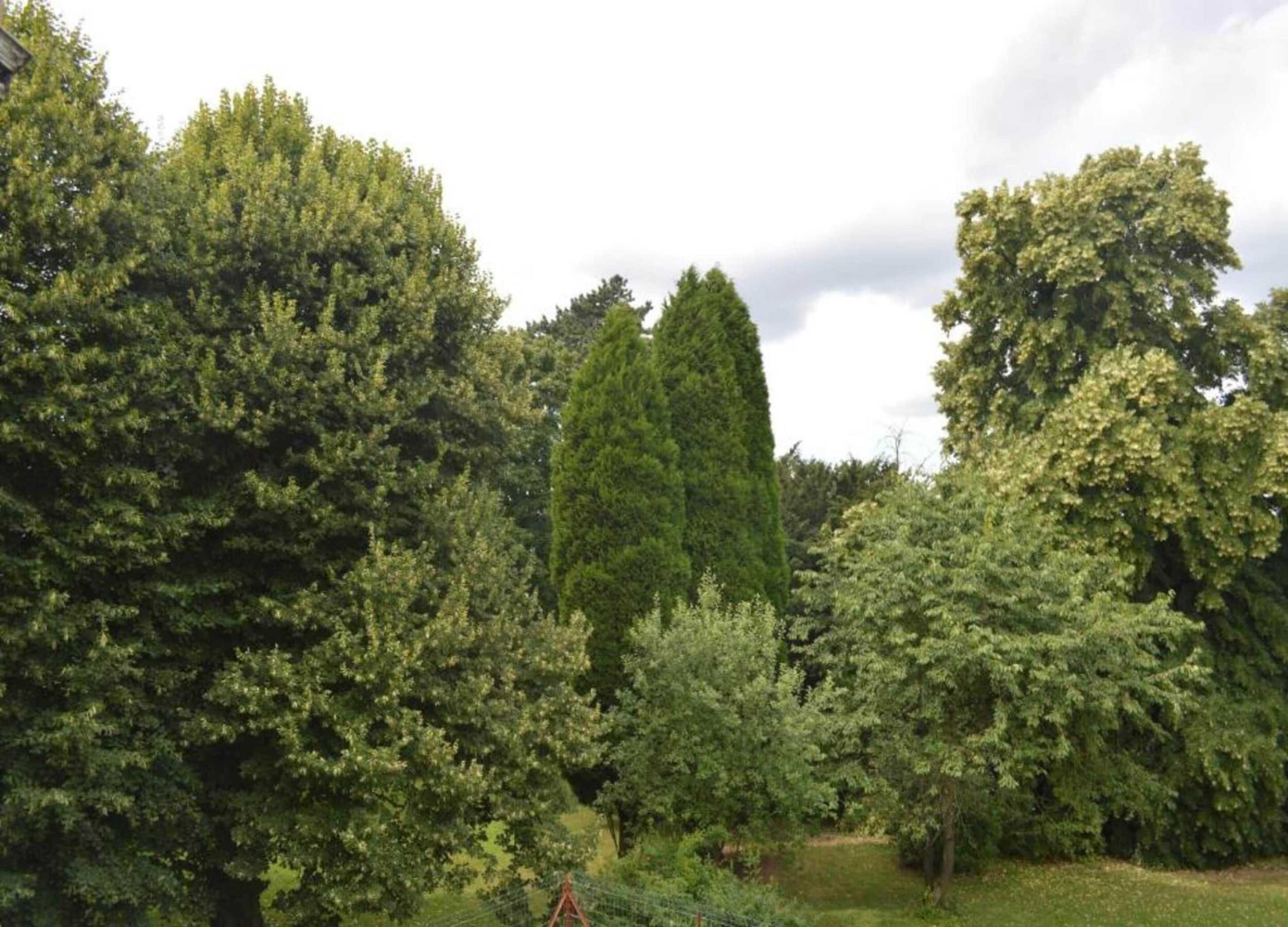 Gift card for Rosselaer Villa With Pool