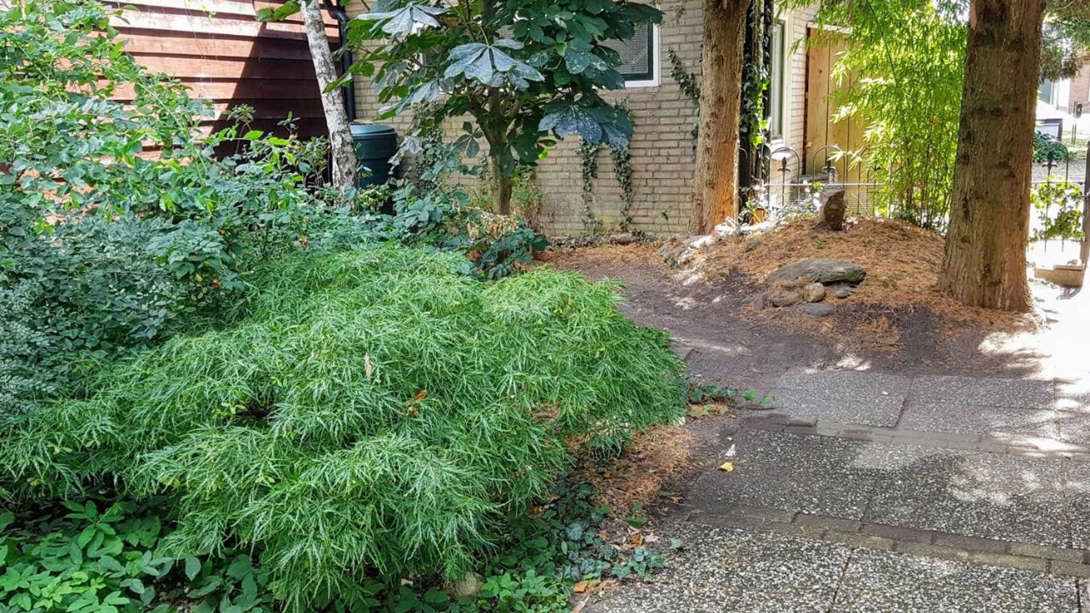 Gift card for Het Pelikaantje