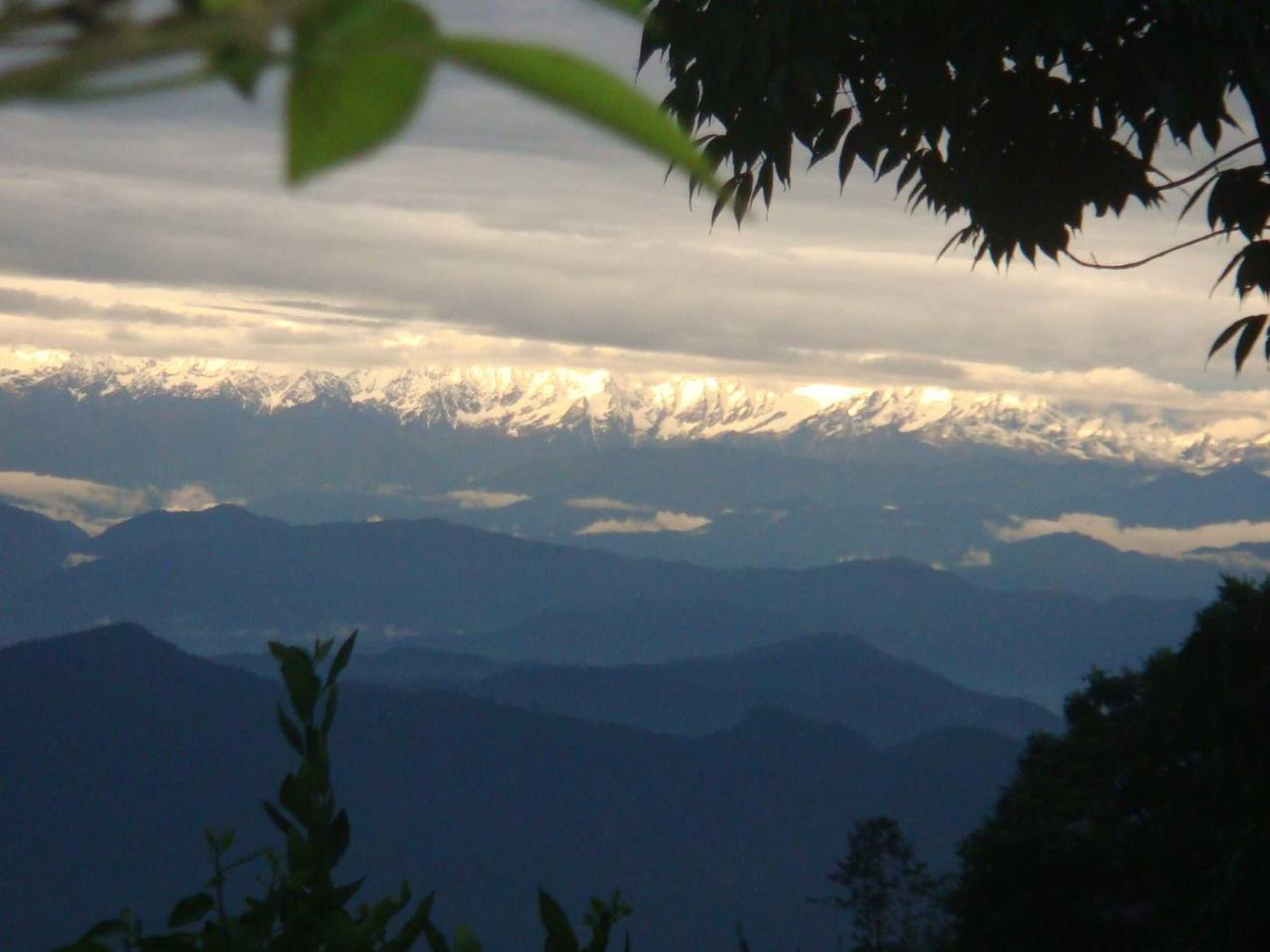 Gift card for Shiva Guest House