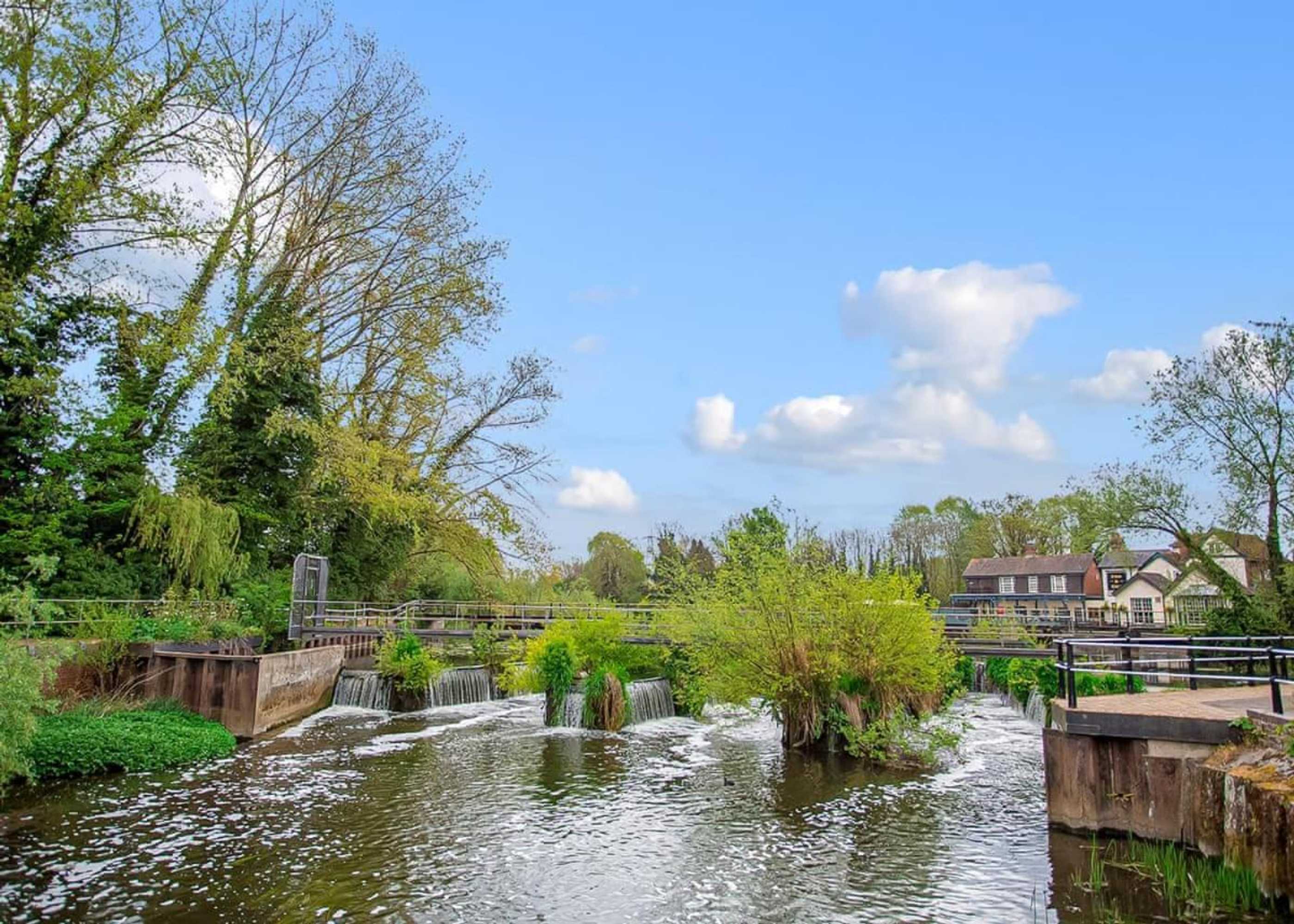 Gift card for Lee Valley