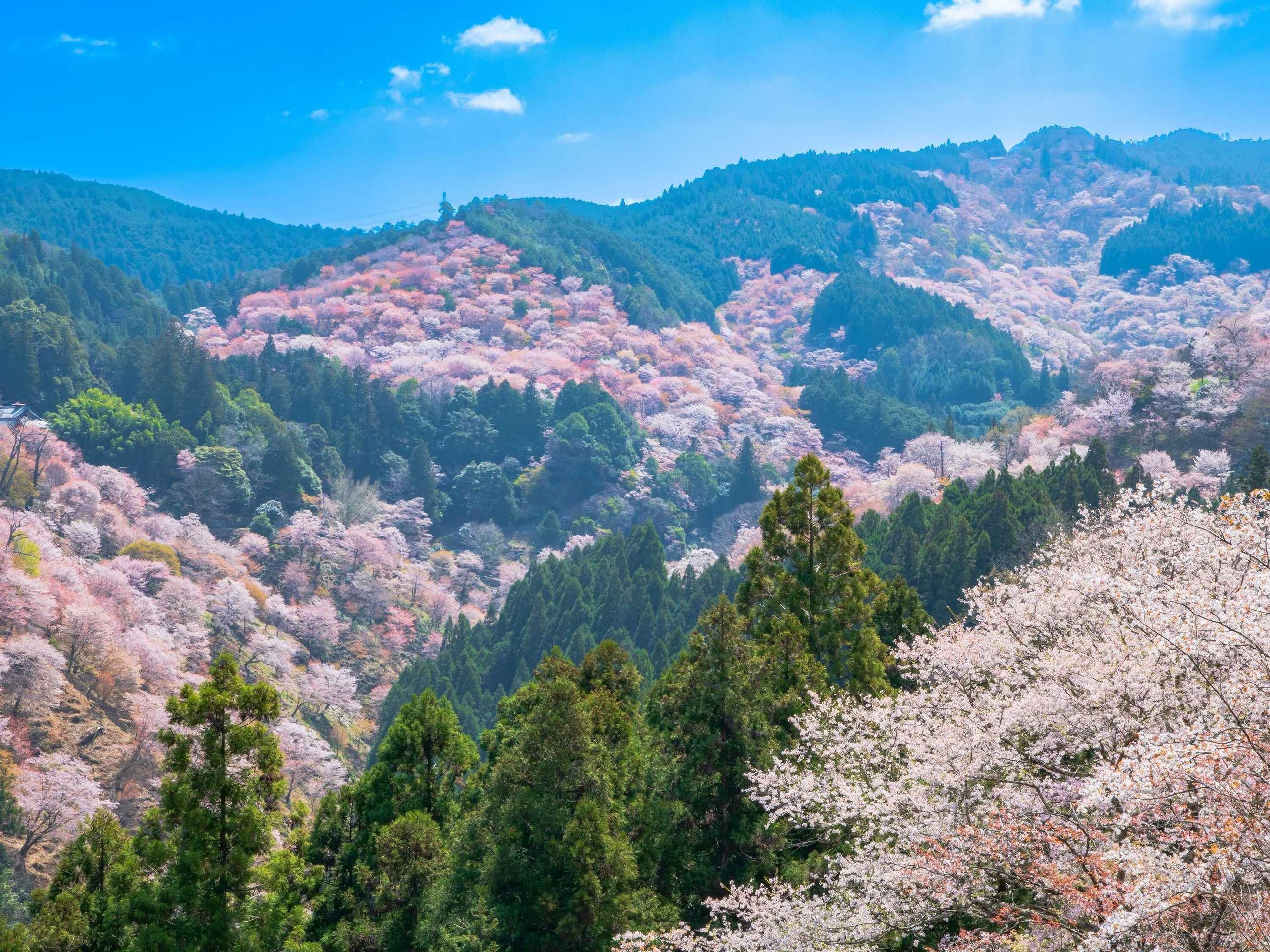 Gift card for Grand Mercure Nara Kashihara Gift card for Grand Mercure Nara Kashihara