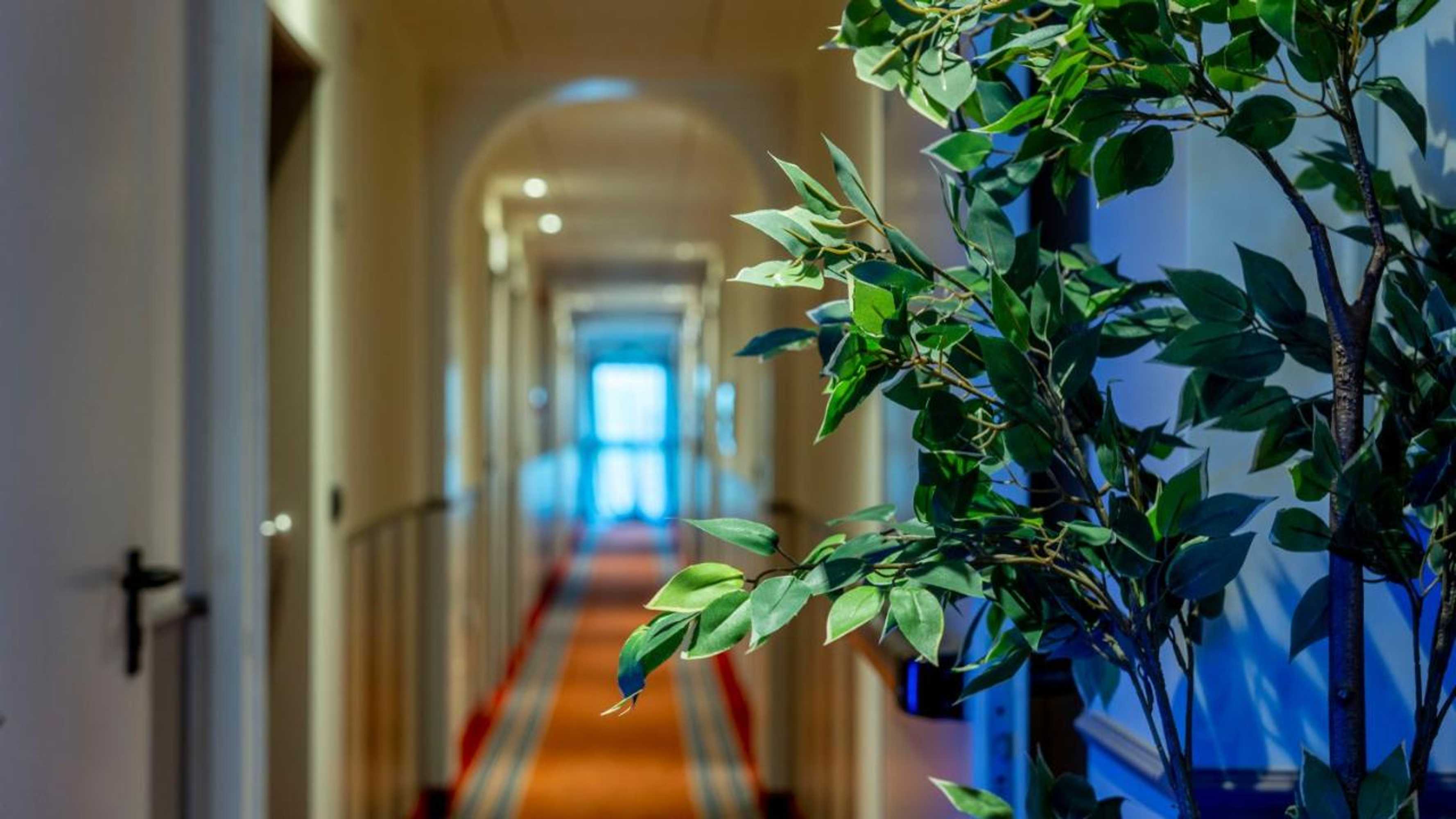 Gift card for Albergo Ligabue