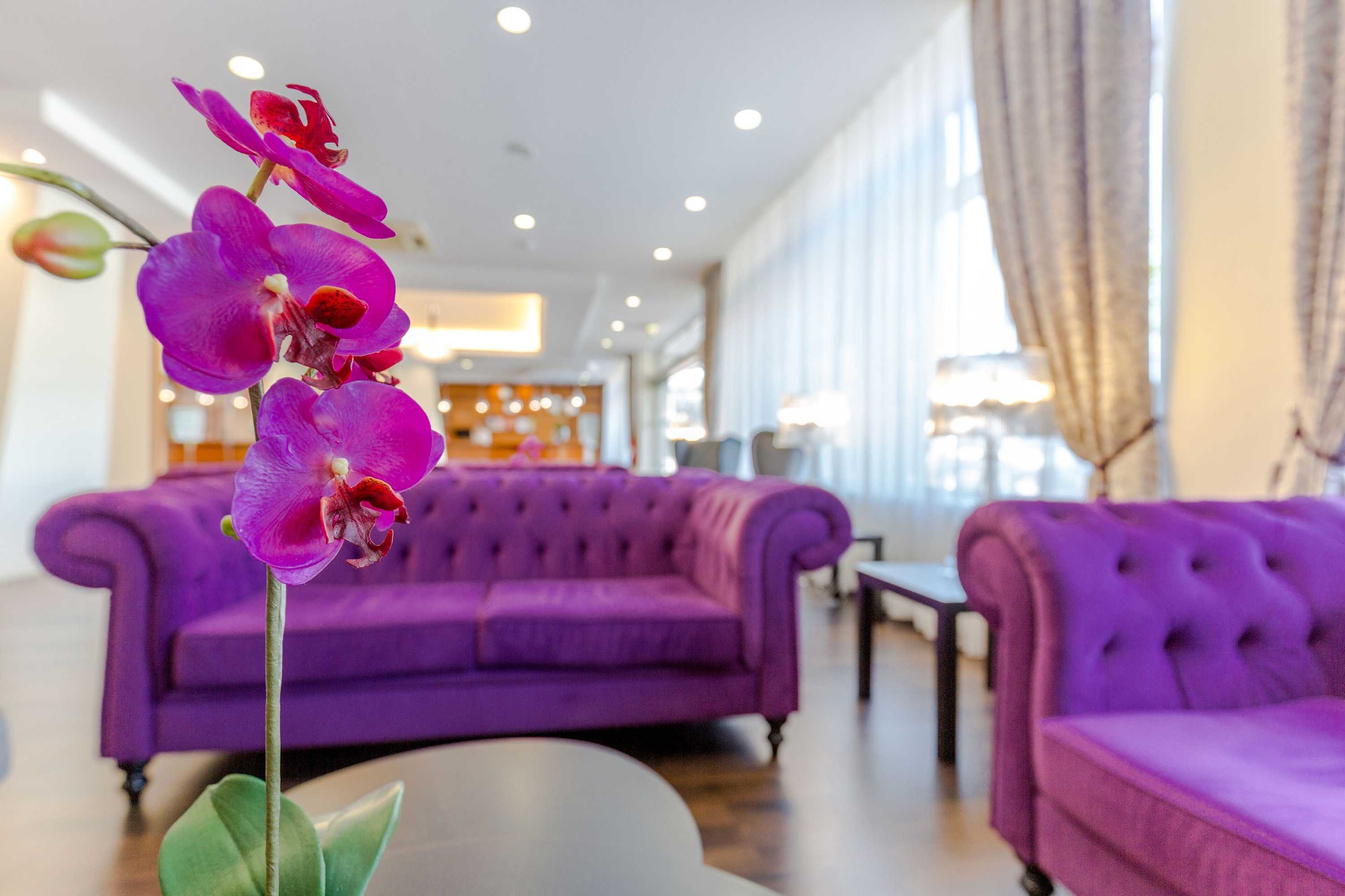 Gift card for Luna Fatima Hotel Gift card for Luna Fatima Hotel