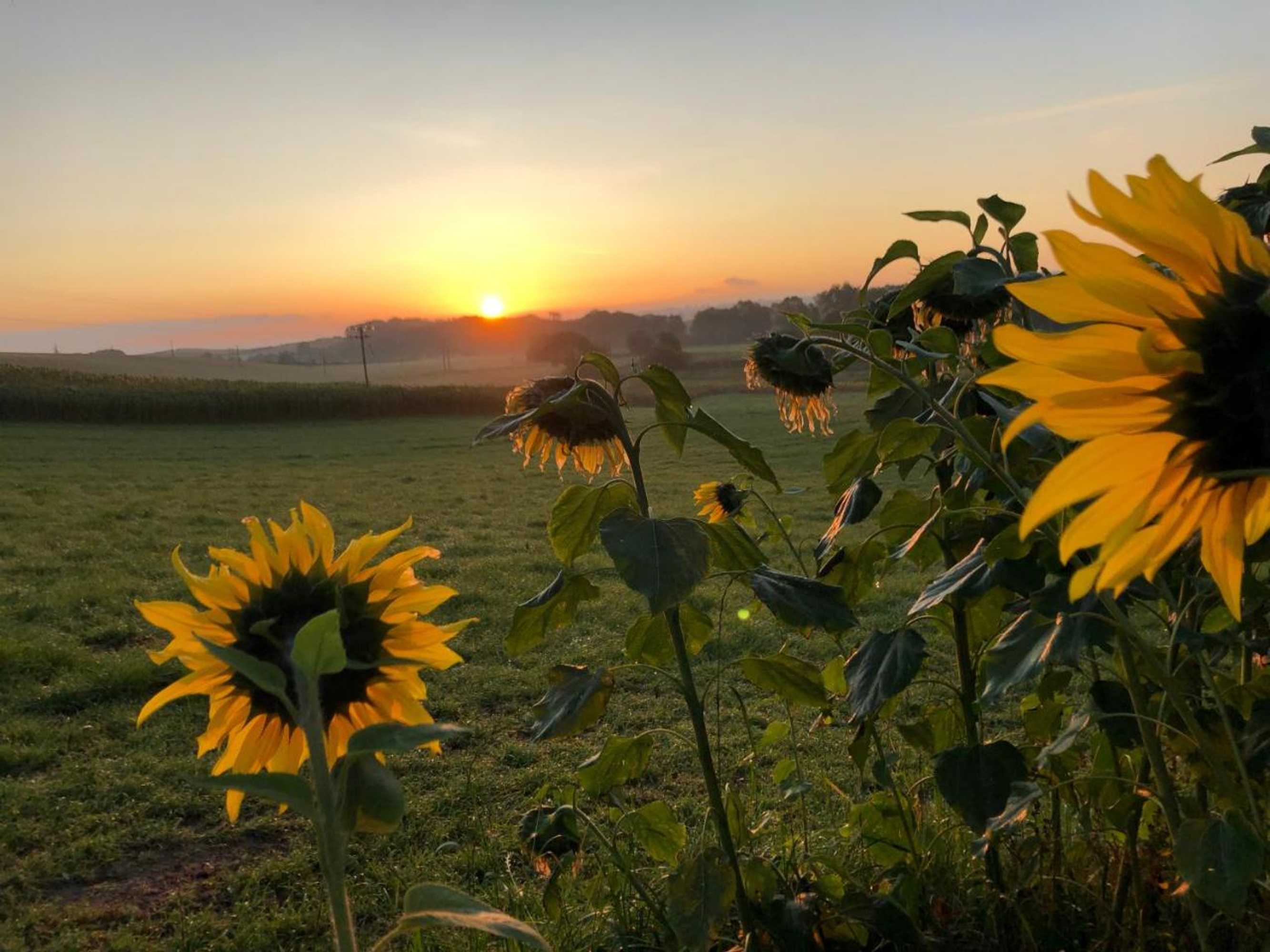 Gift card for Tweed Hideaway