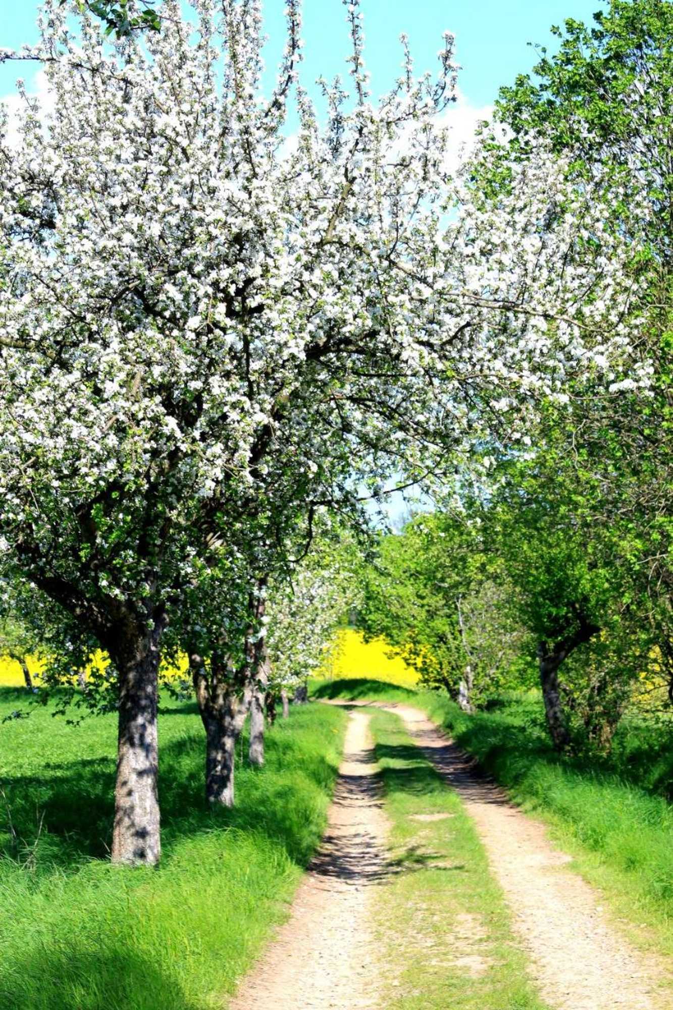 Gift card for Landhaus Heidehof