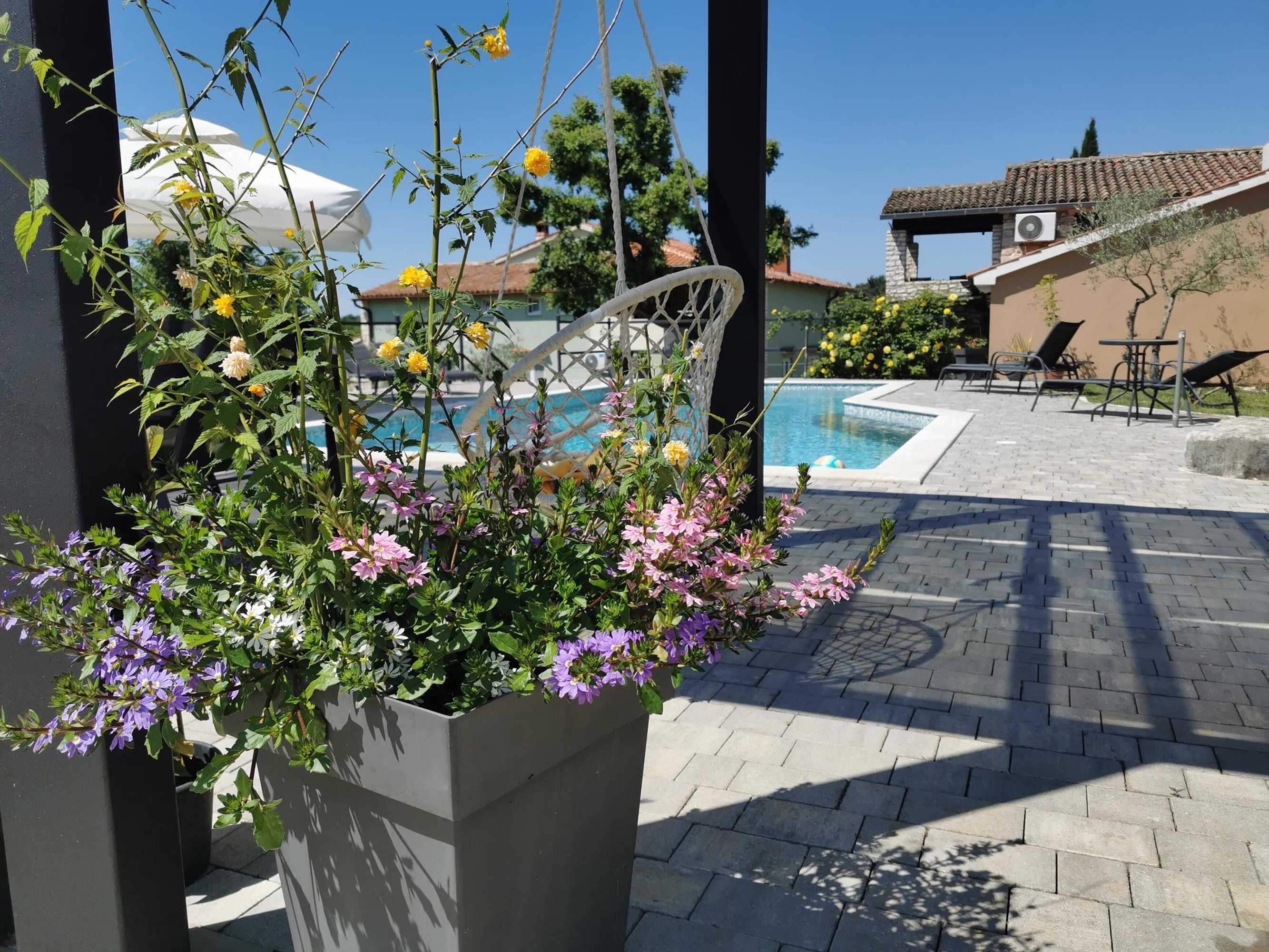 Gift card for Apartments Bertetic