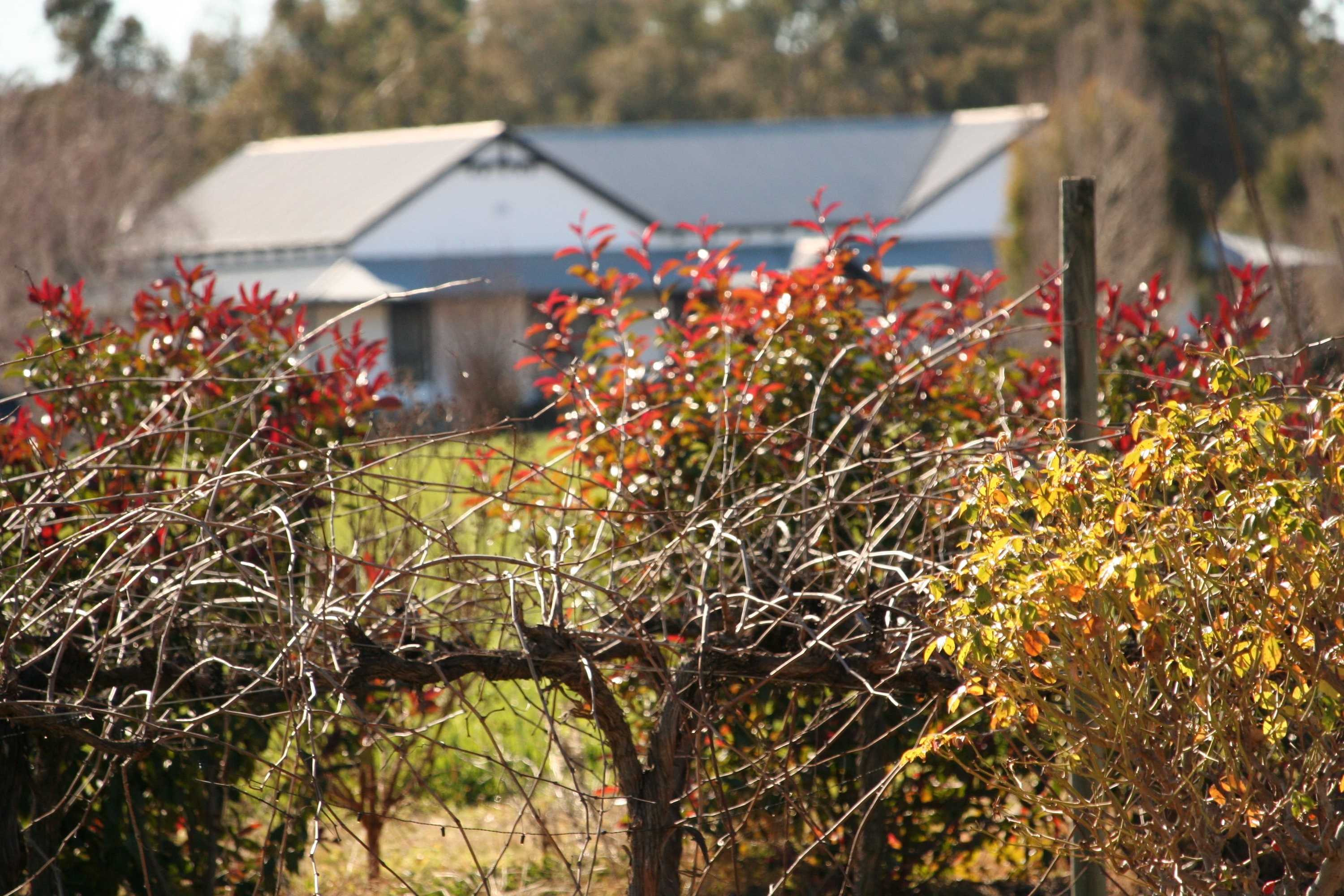 Gift card for The Farmhouse at Blue Wren Wines Gift card for The Farmhouse at Blue Wren Wines