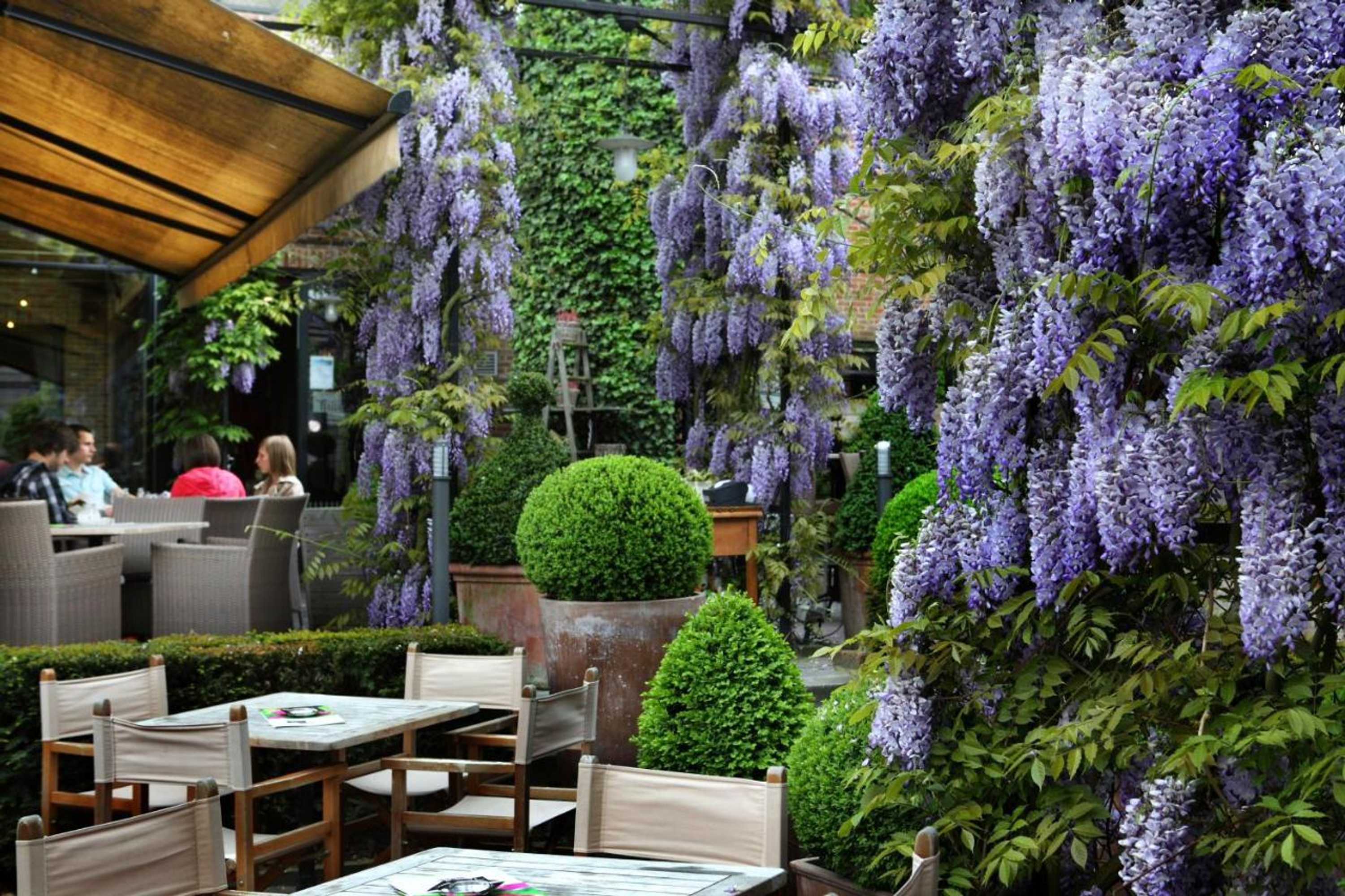 Gift card for Tuinhotel