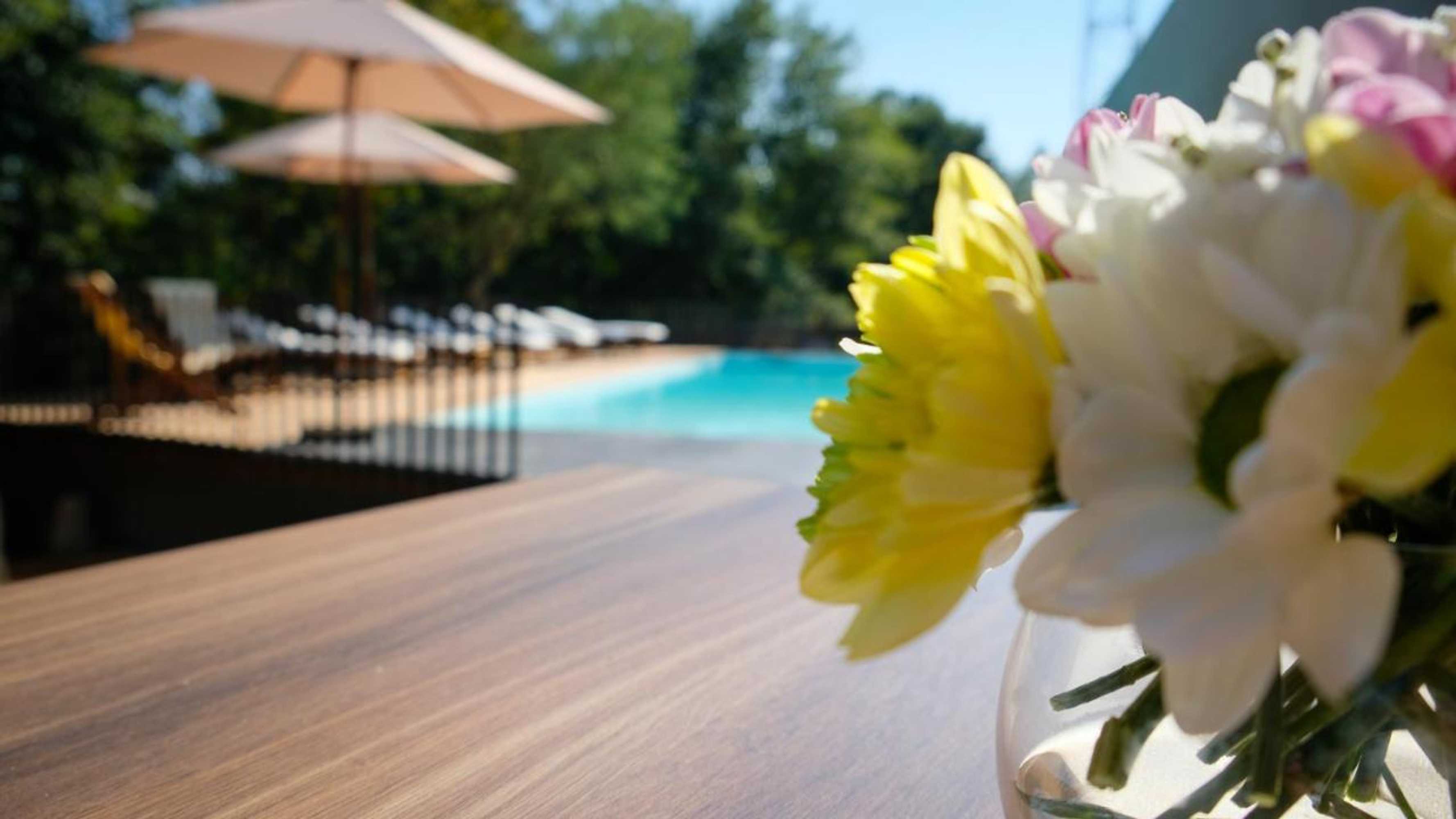 Gift card for Quinta do Pedregal Hotel & Spa