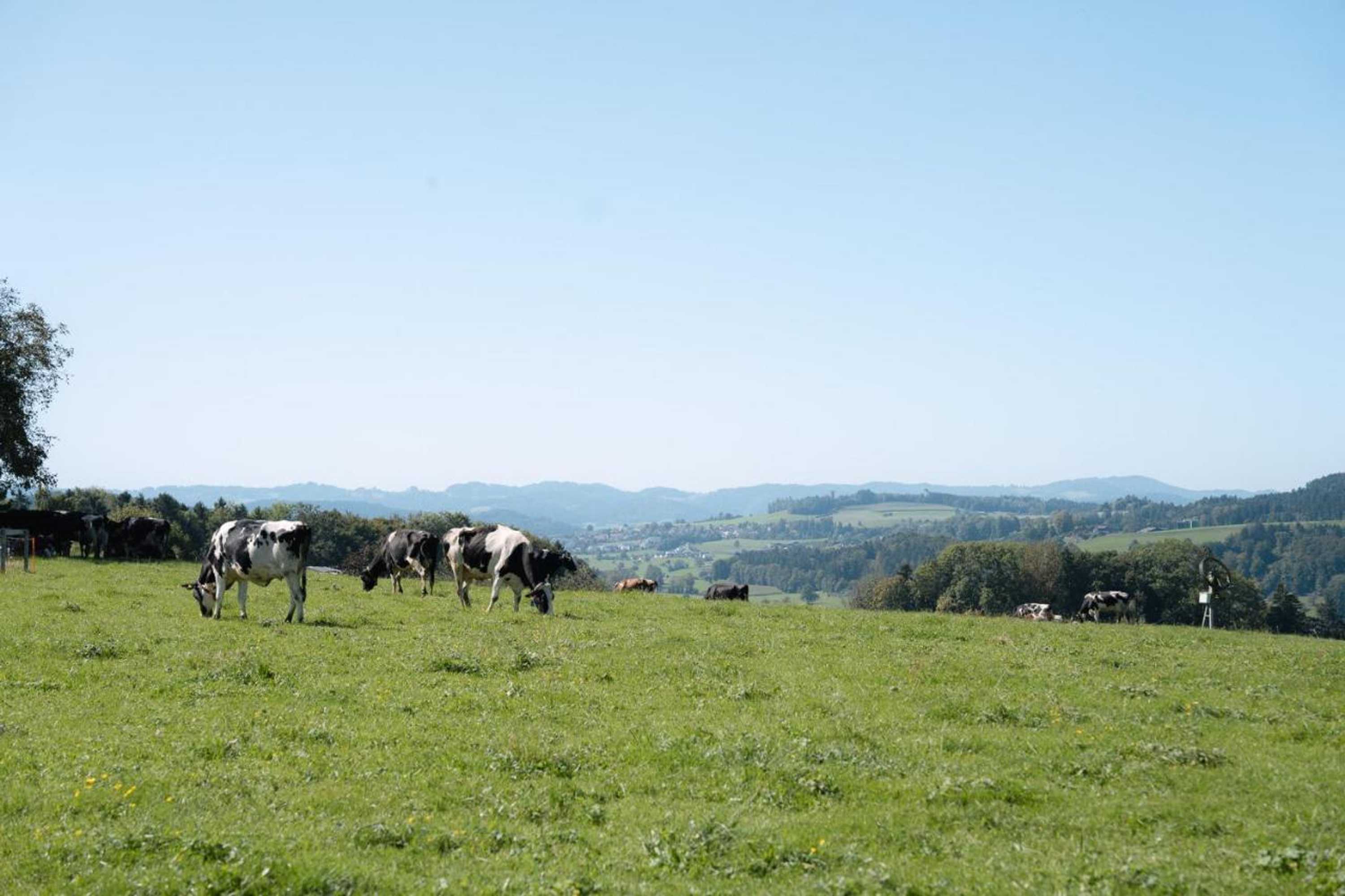 Gift card for Hotel & Restaurant Nollen