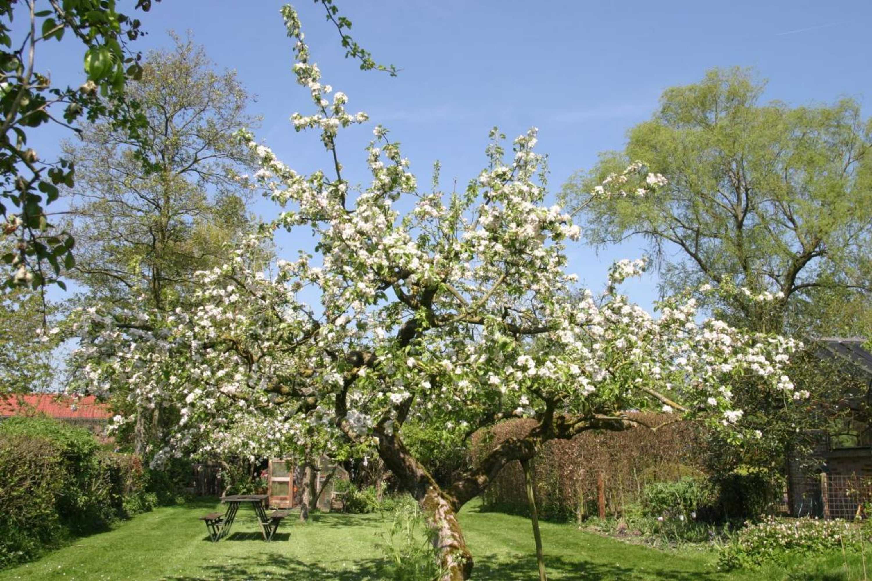 Gift card for B&b De Leeghpoel