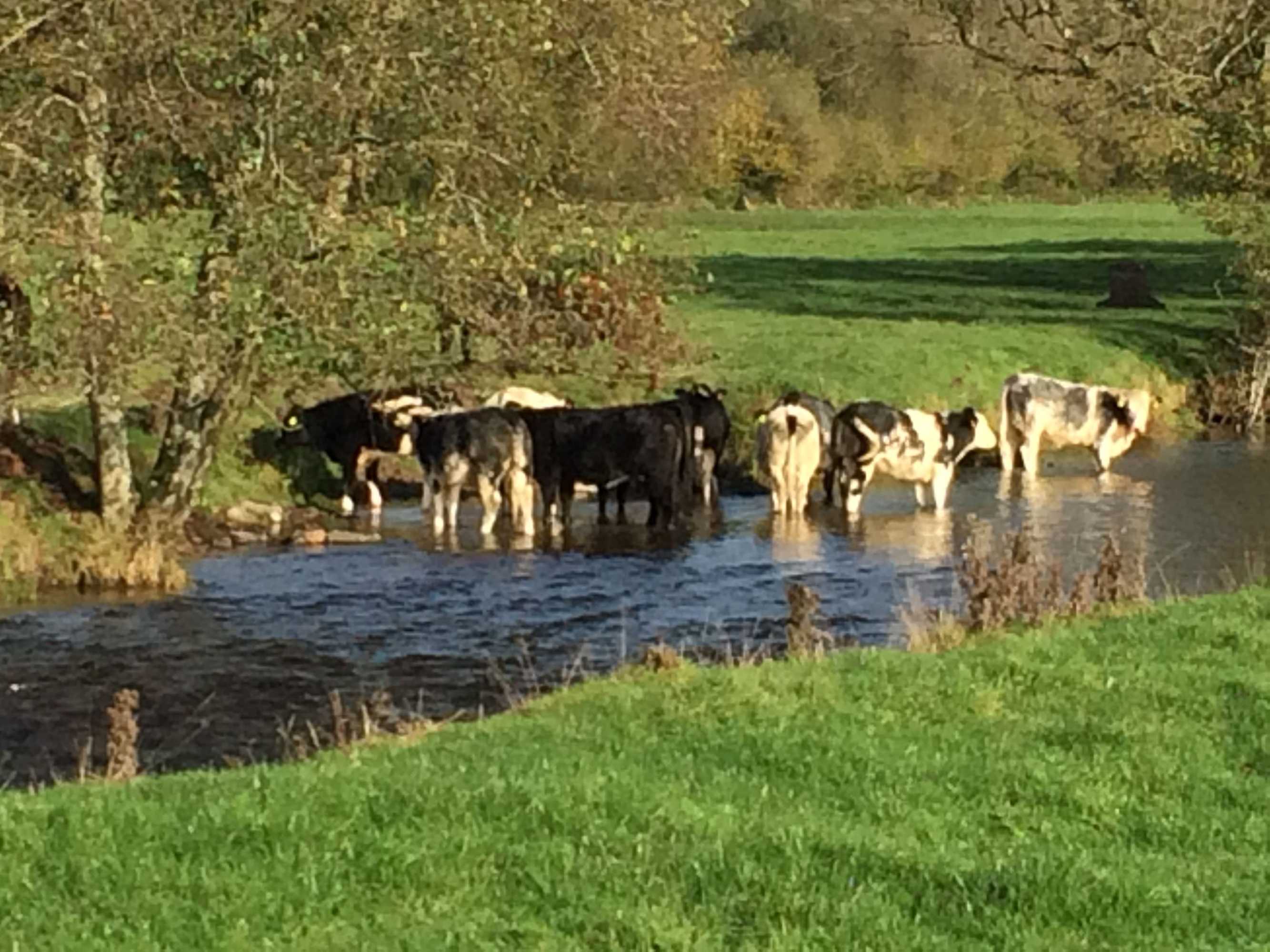 Gift card for Marston Lodge Hotel