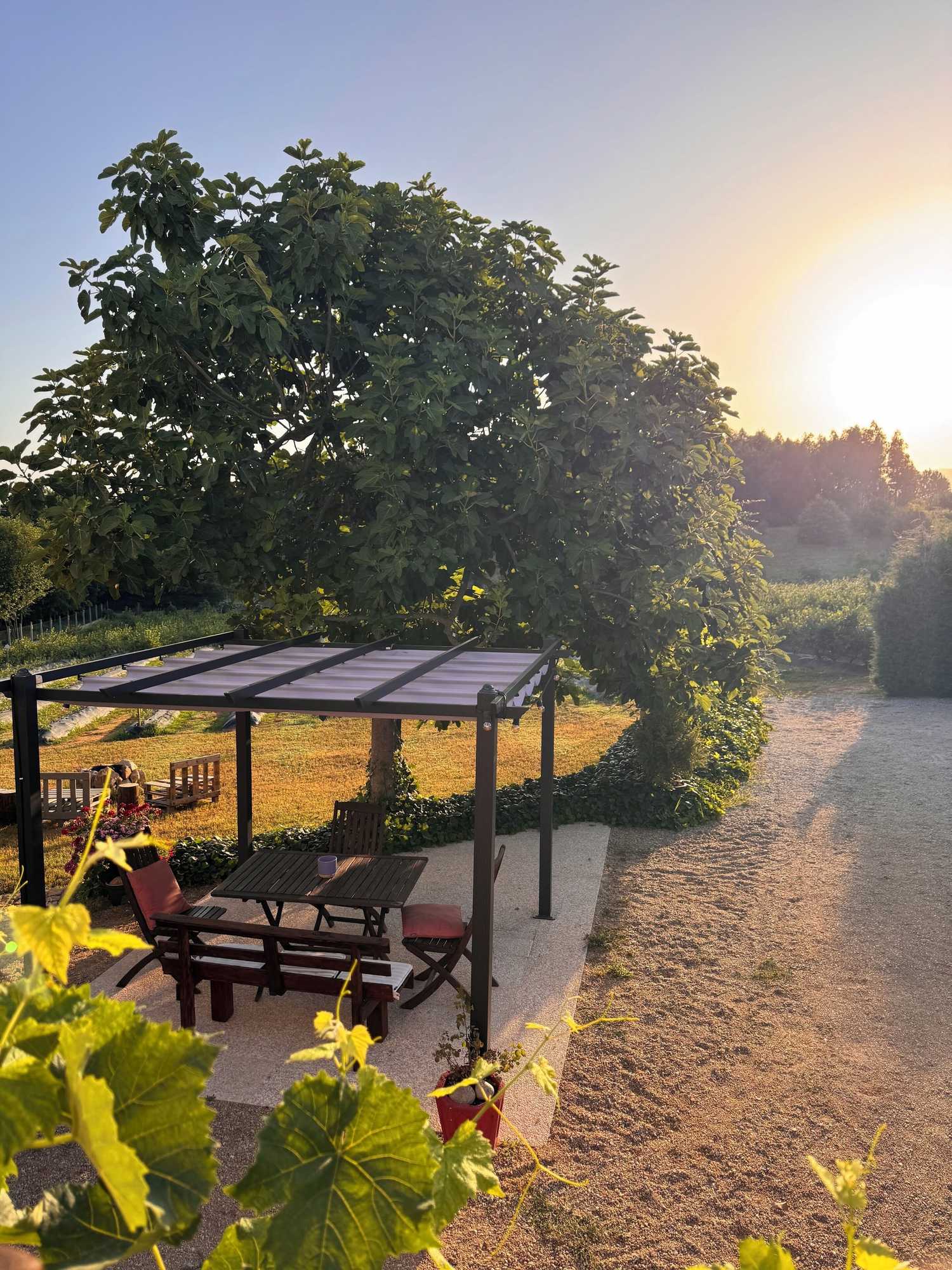 Gift card for Quinta Vale Salgueiro