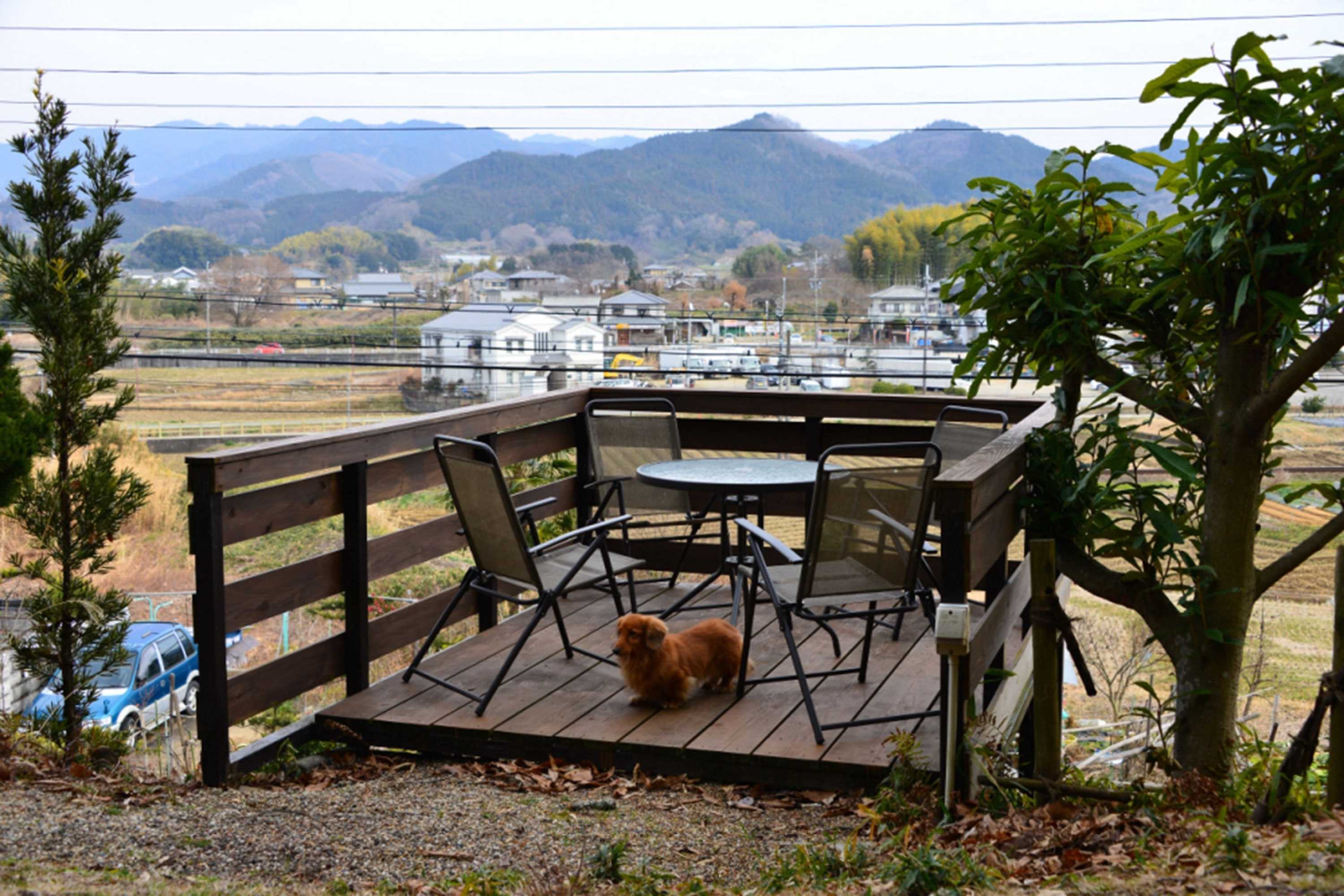 Gift card for Kotorian