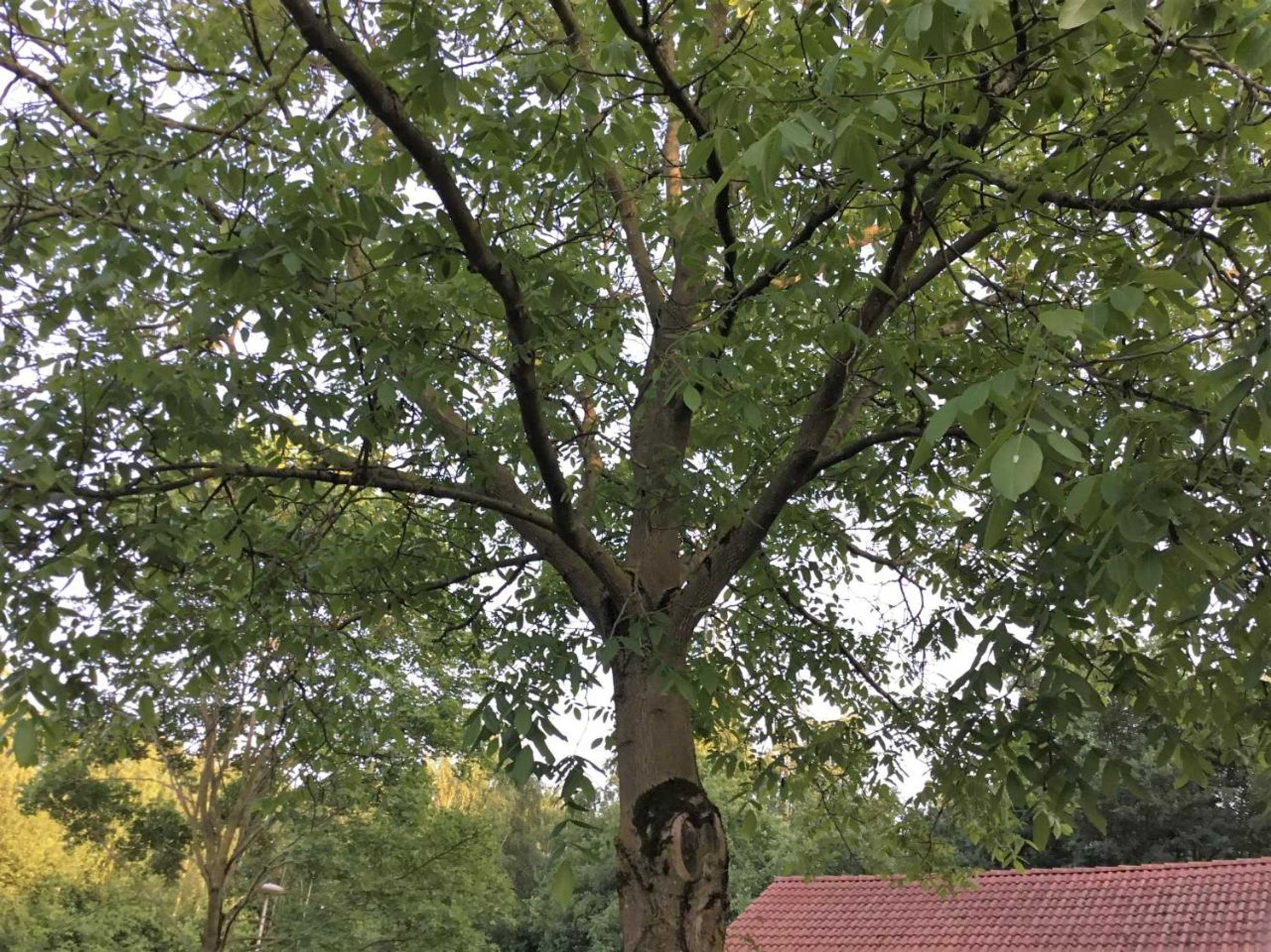 Gift card for B&b Op 't Eikenschoor