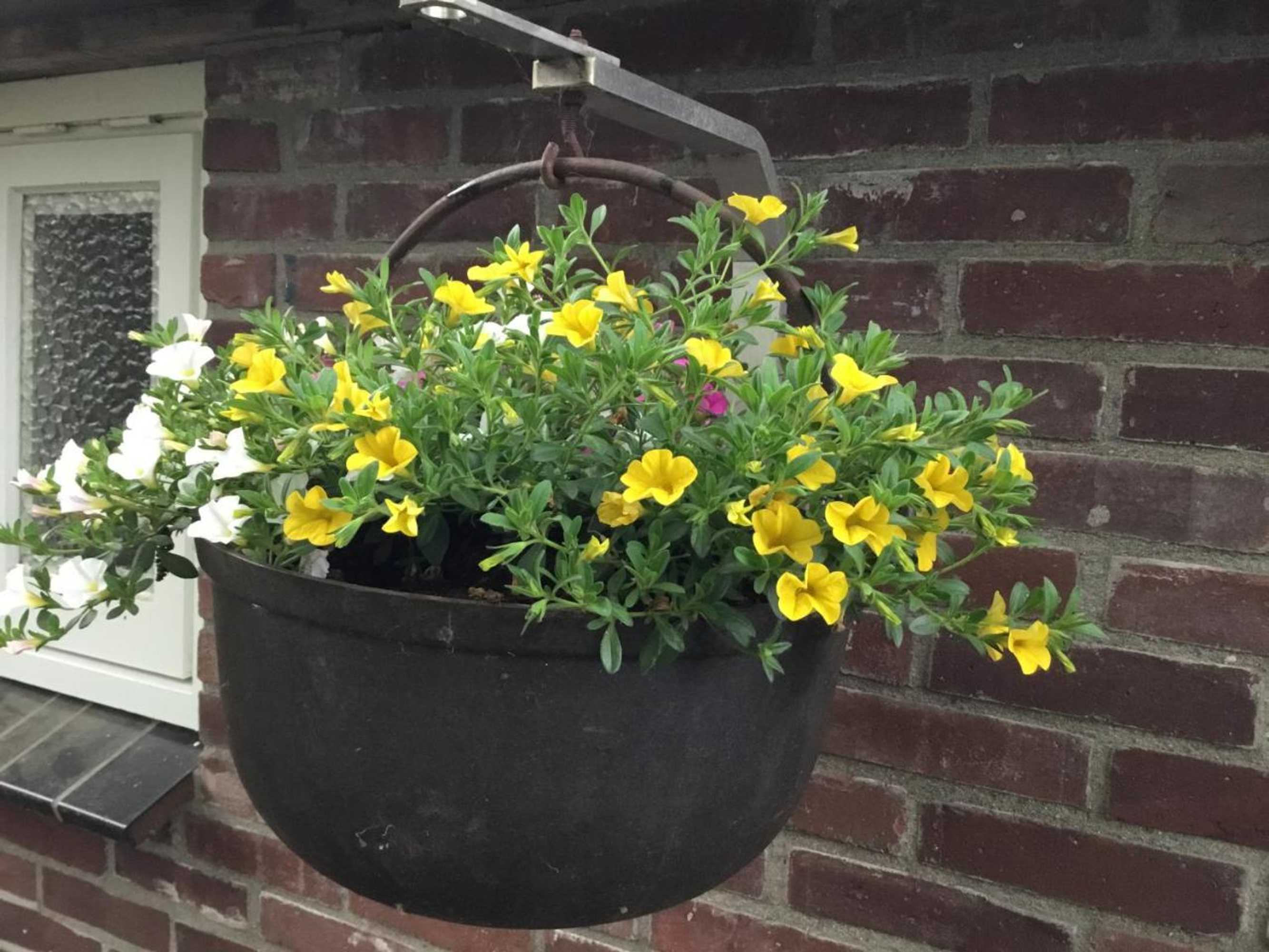 Gift card for B&b Op 't Eikenschoor