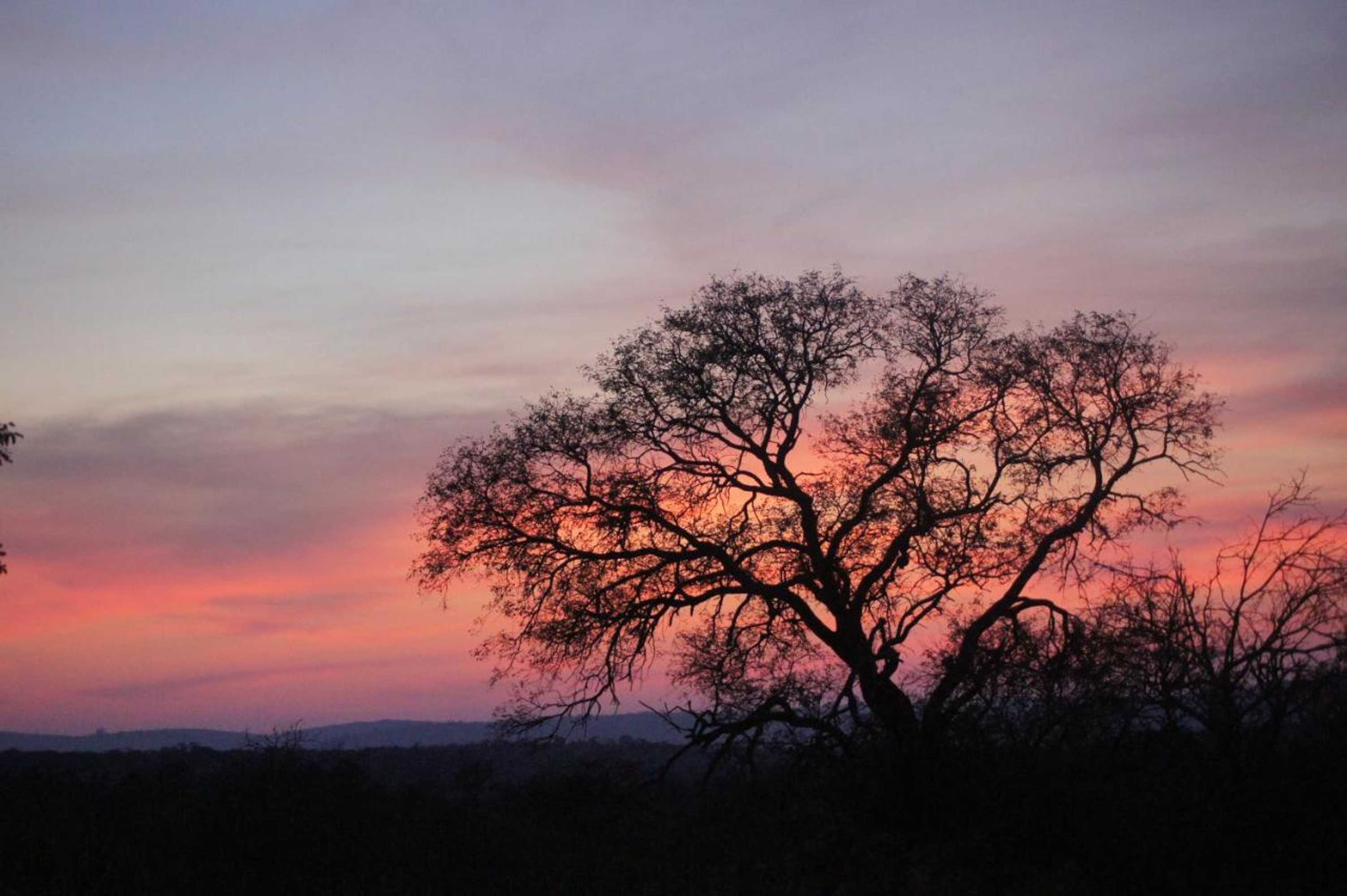 Gift card for The Fever Tree Guest House Gift card for The Fever Tree Guest House