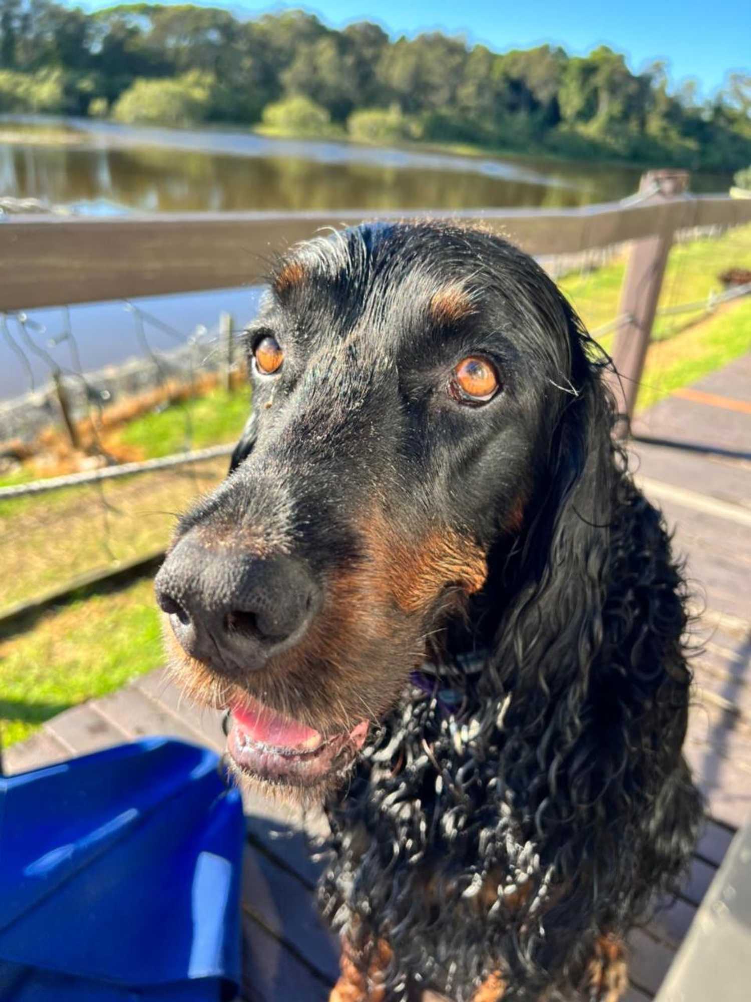 Gift card for The Beach Arrawarra