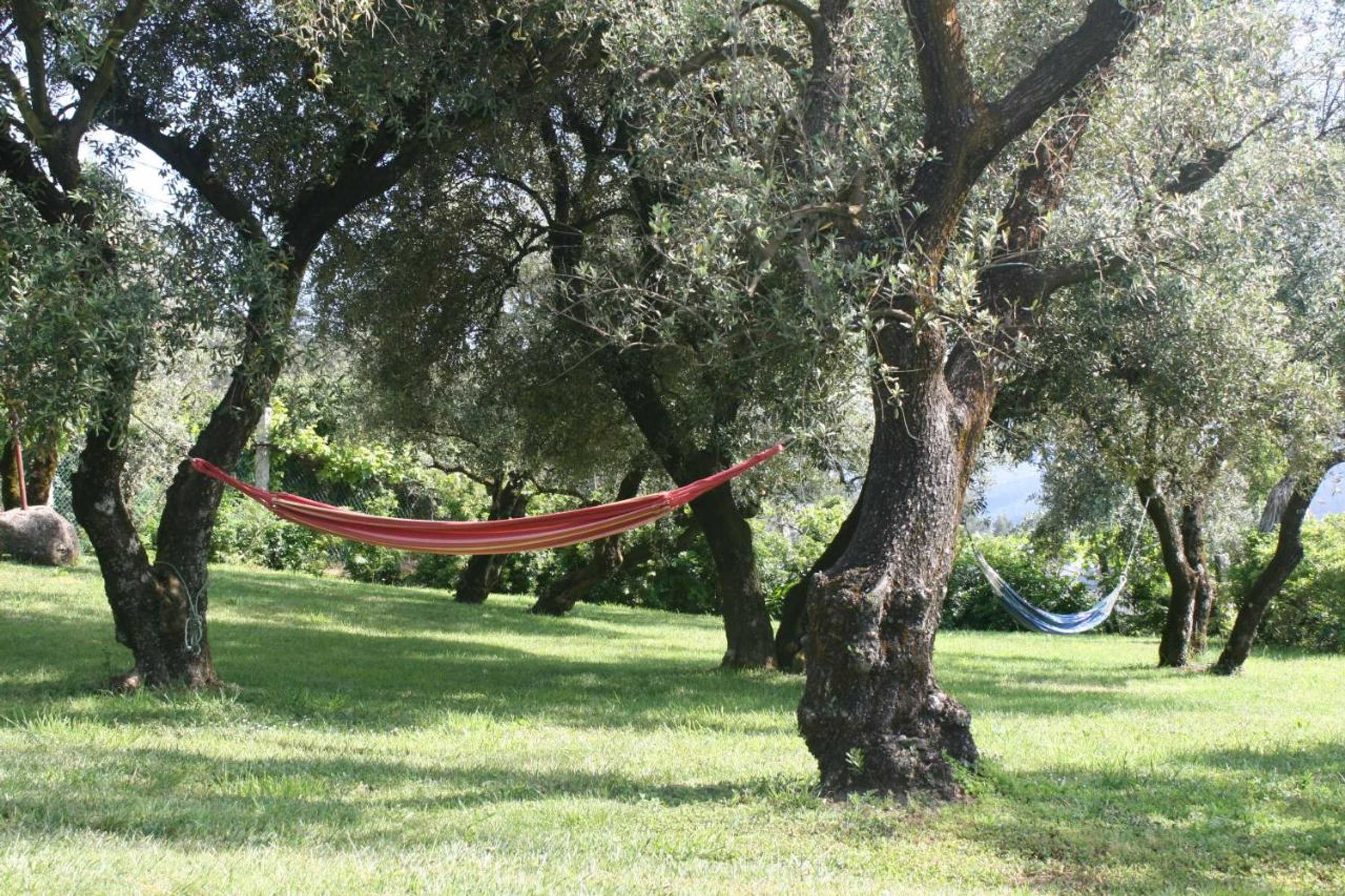 Gift card for Casa do Pinto