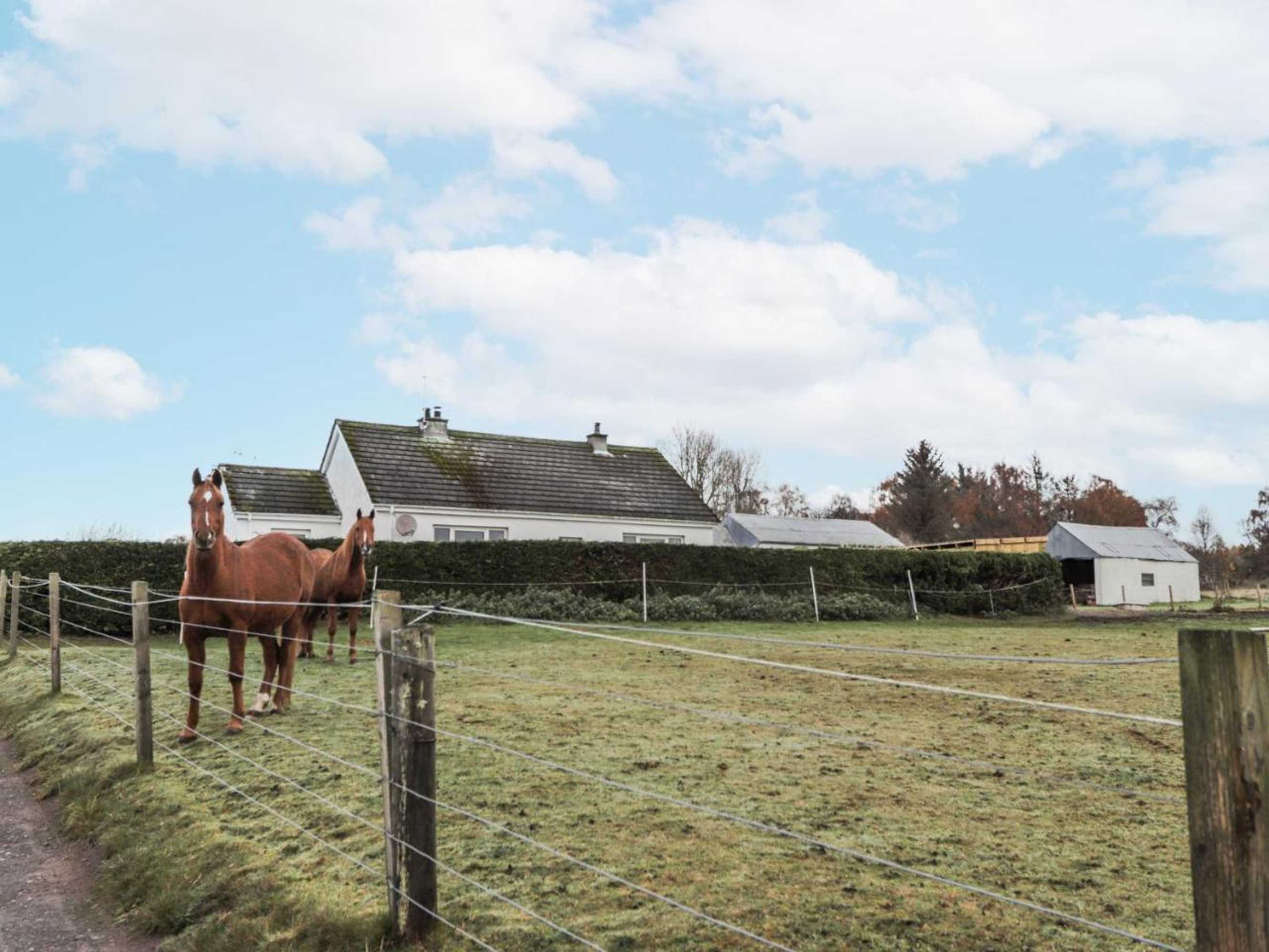 Gift card for The Croft House