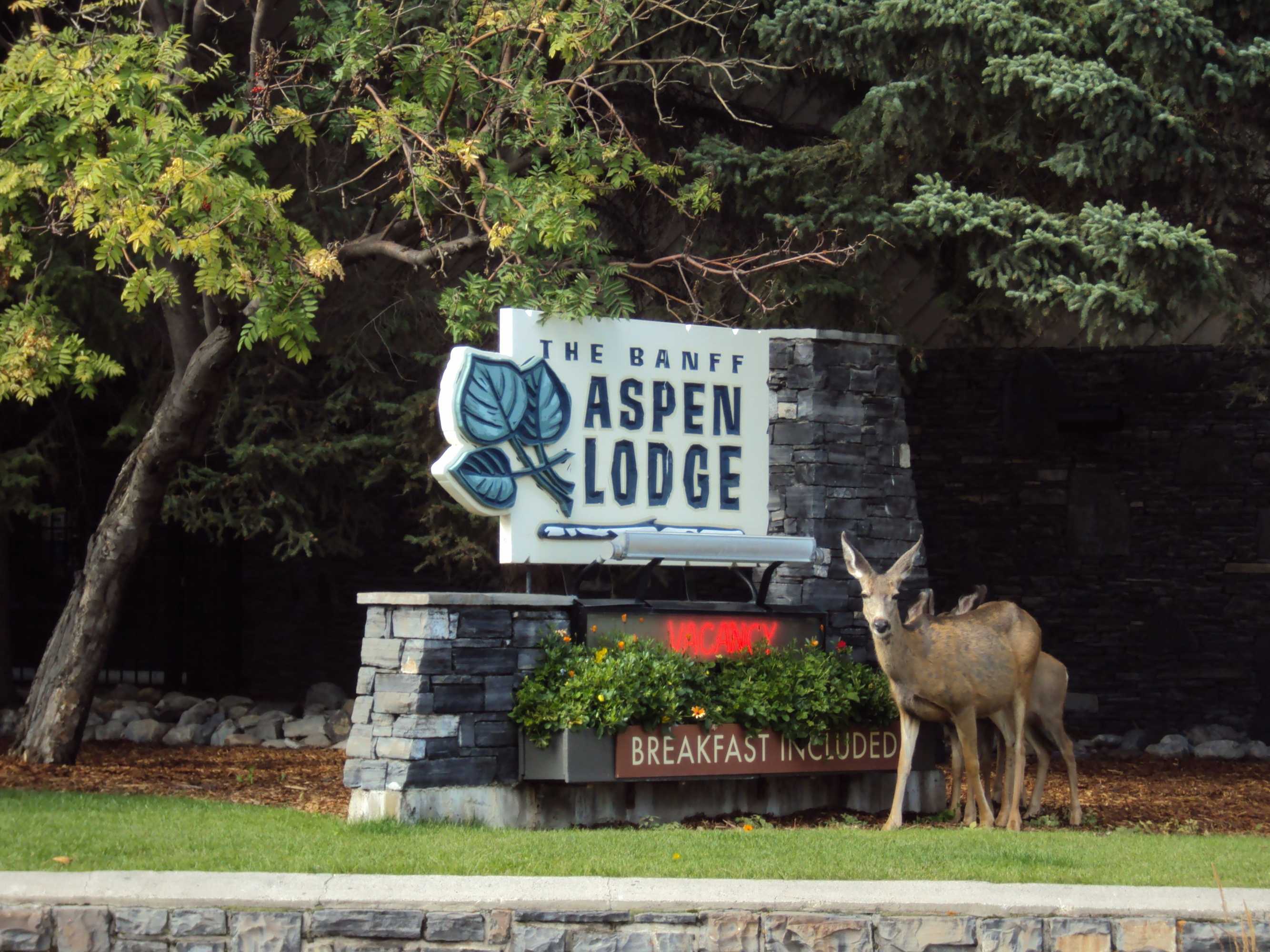 Gift card for Banff Aspen Lodge Gift card for Banff Aspen Lodge
