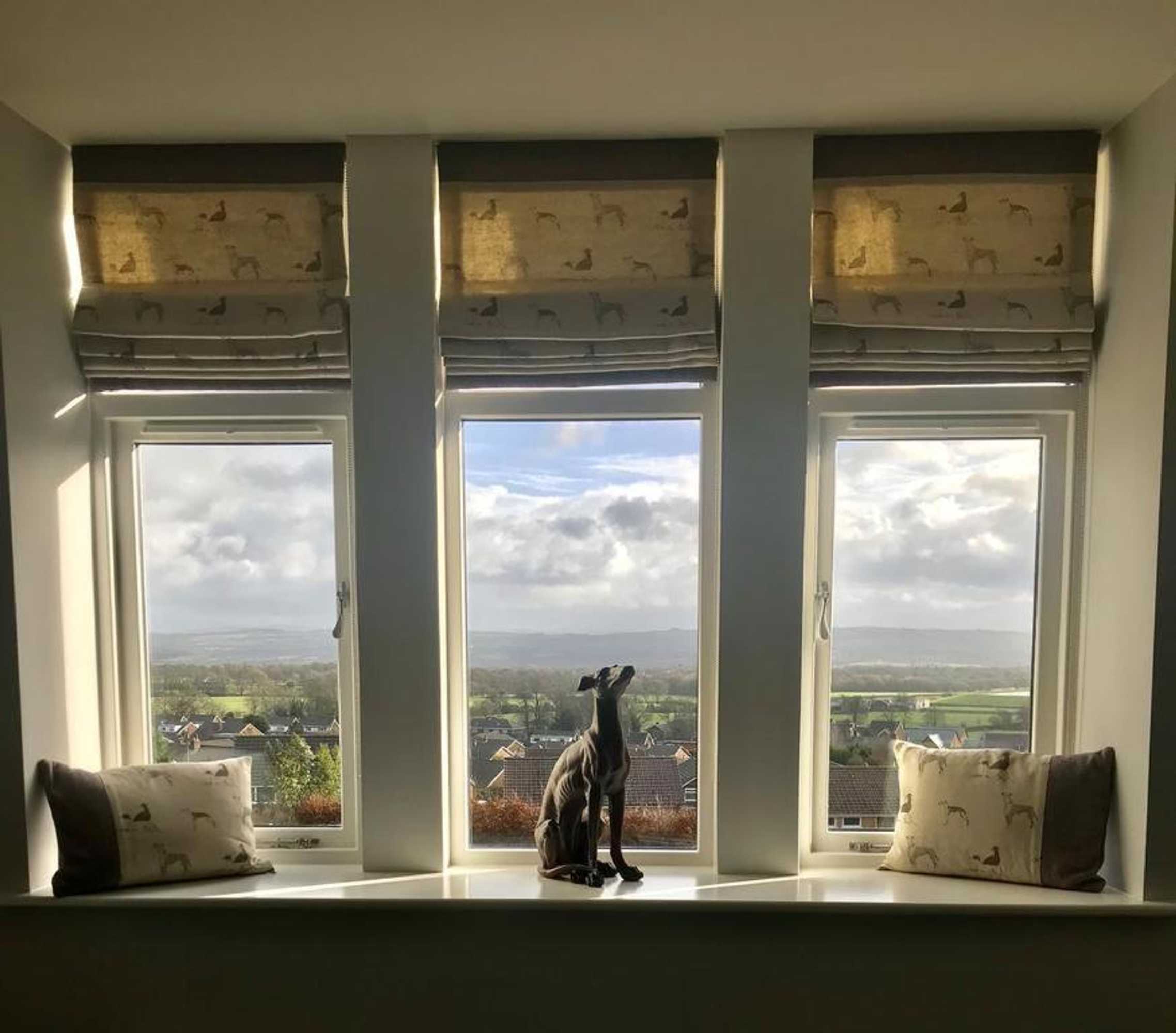 Gift card for The Dog Inn